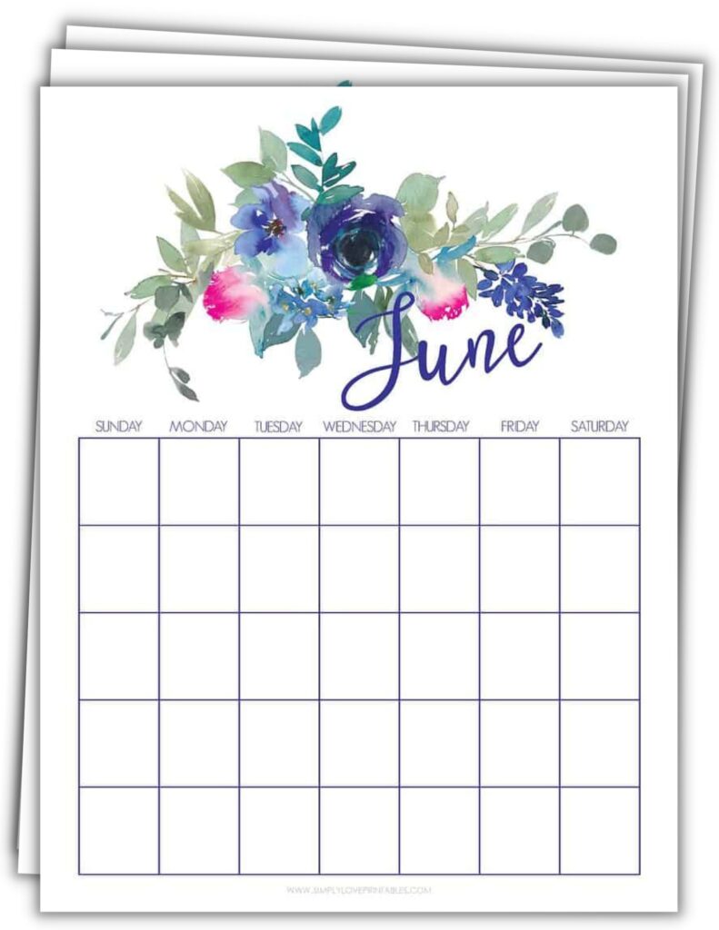 Blue Floral June Planning Pages (Complete)