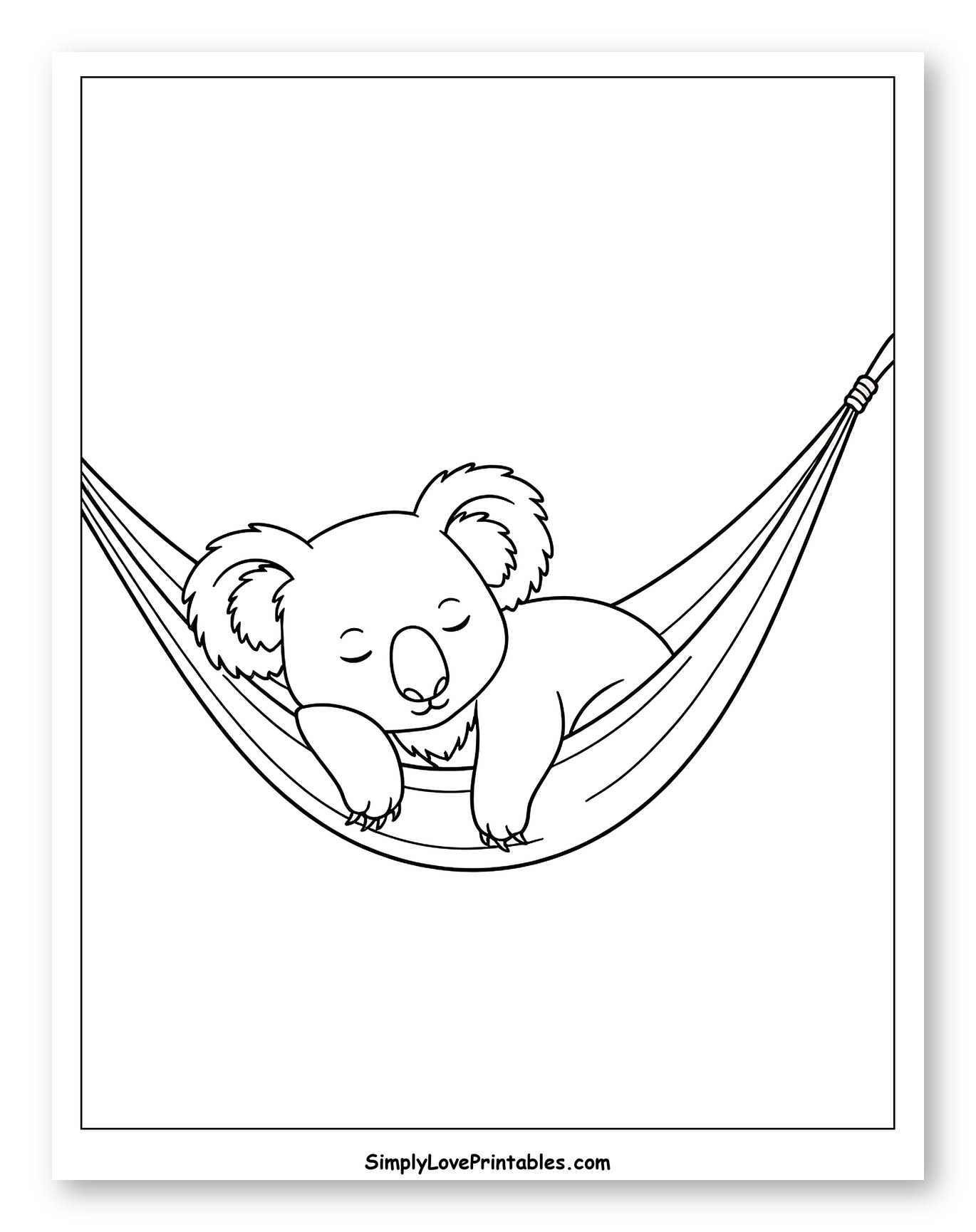 Cute Koala Napping in a Hammock