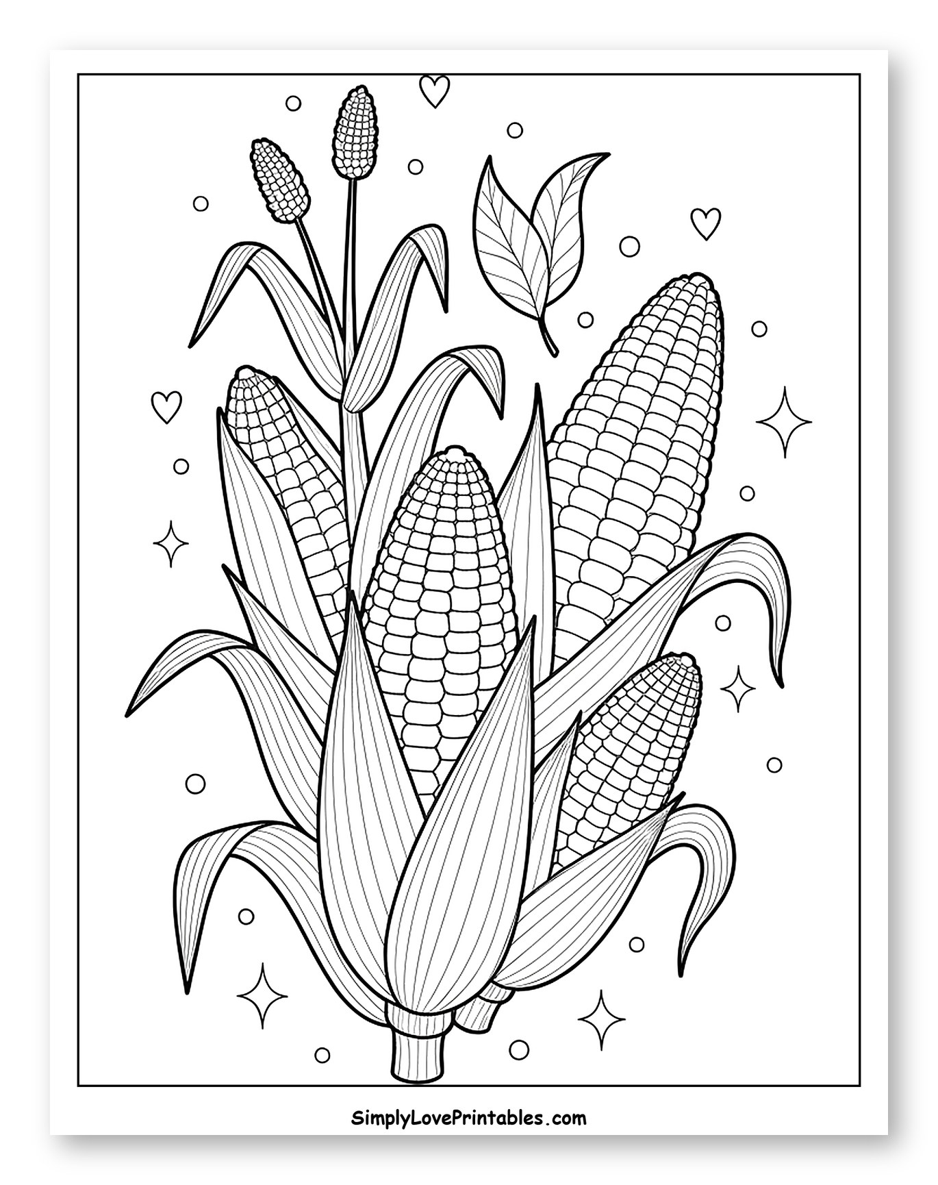 A Bouquet of Corn Cobs with Stalks