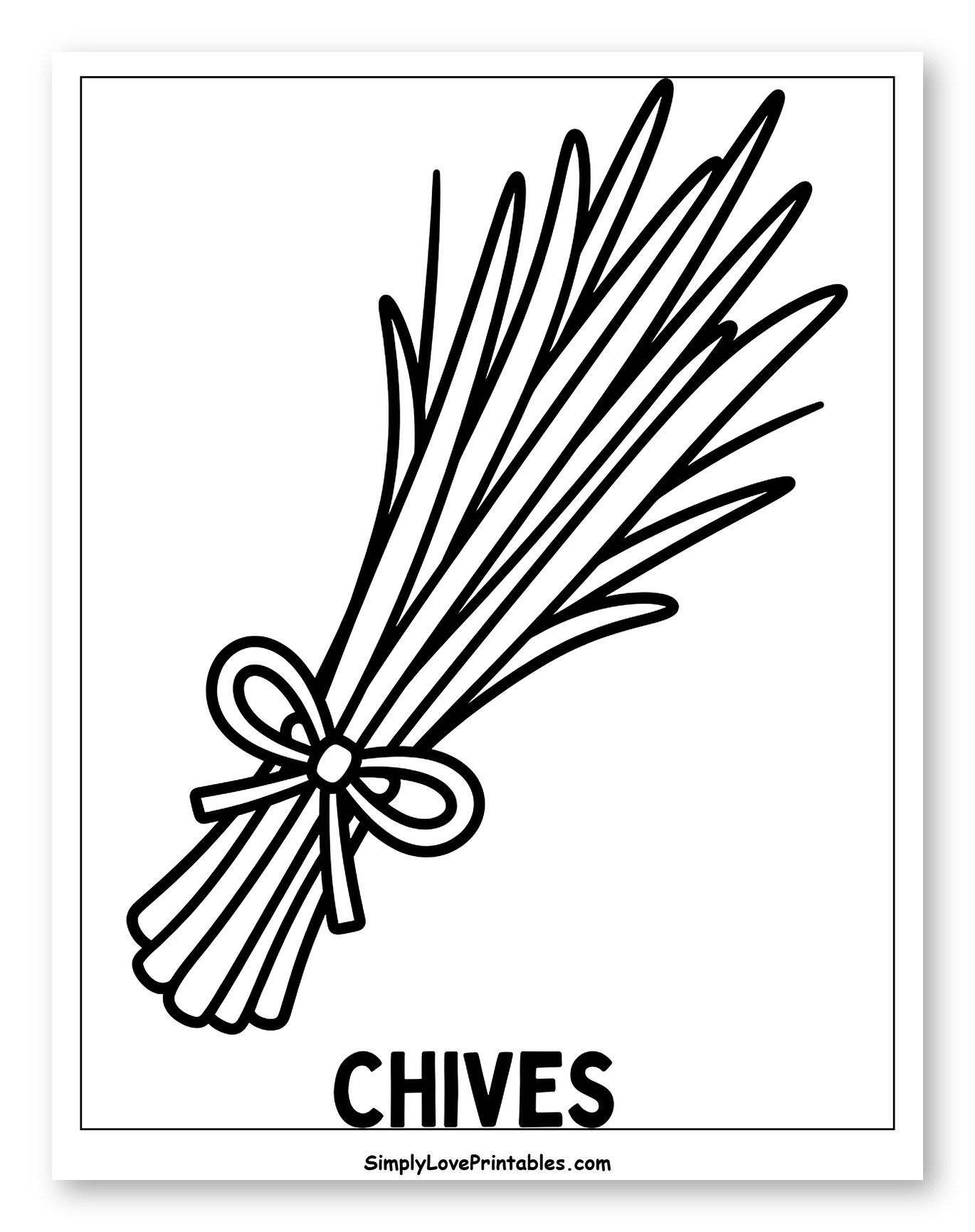 A Bunch of Fresh Chives Tied with a Ribbon