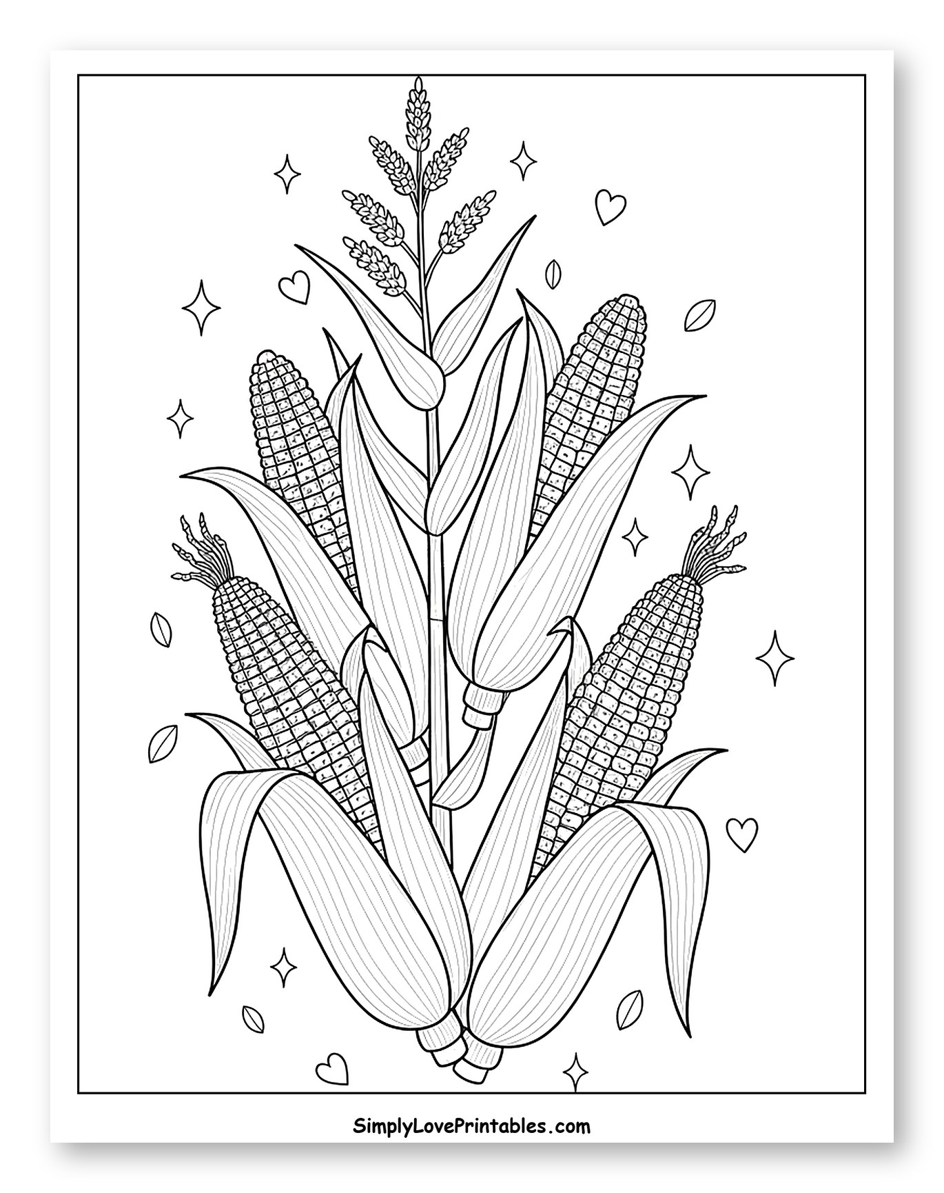 Abundant Corn Stalks and Ears