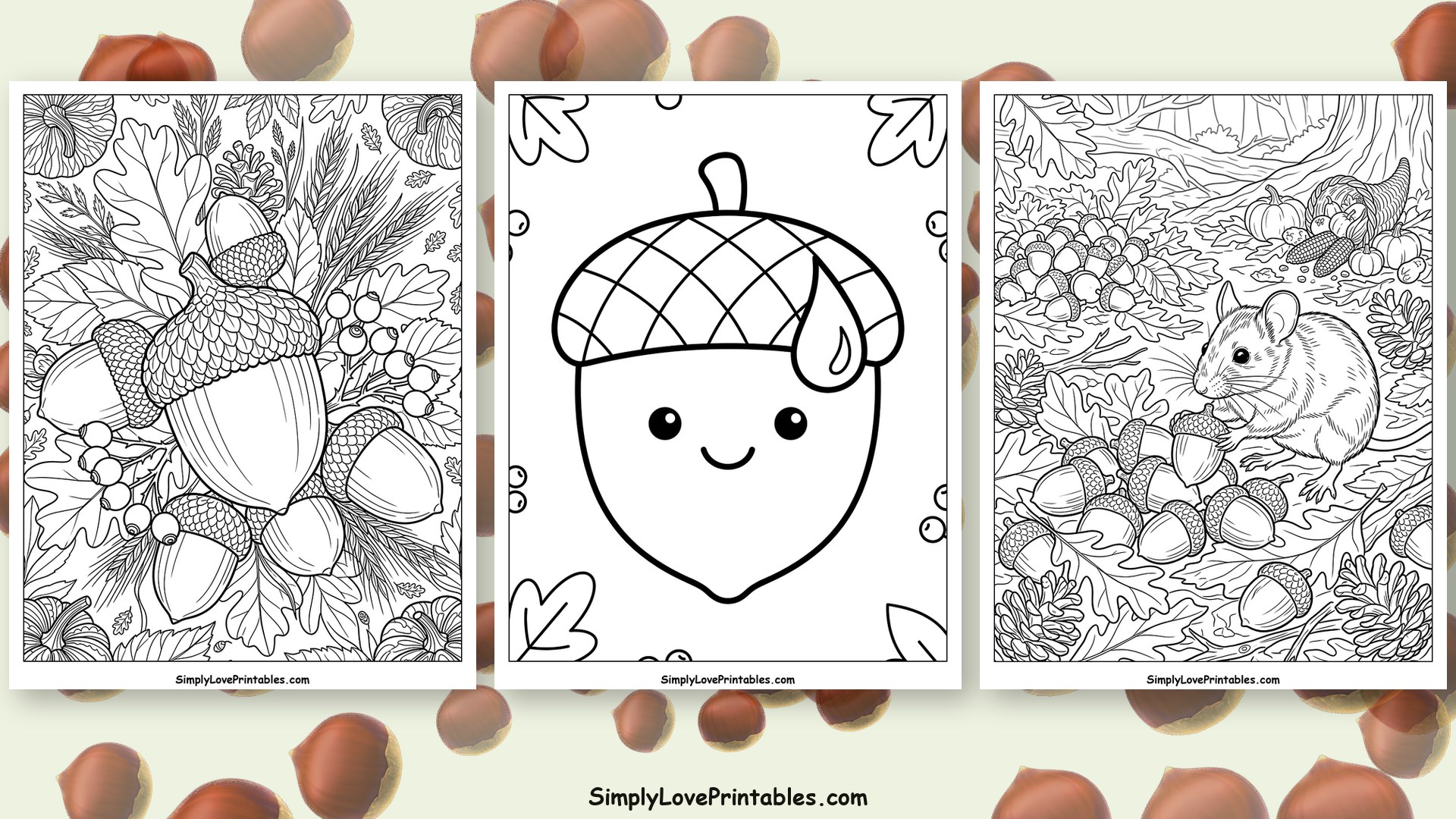 Acorn