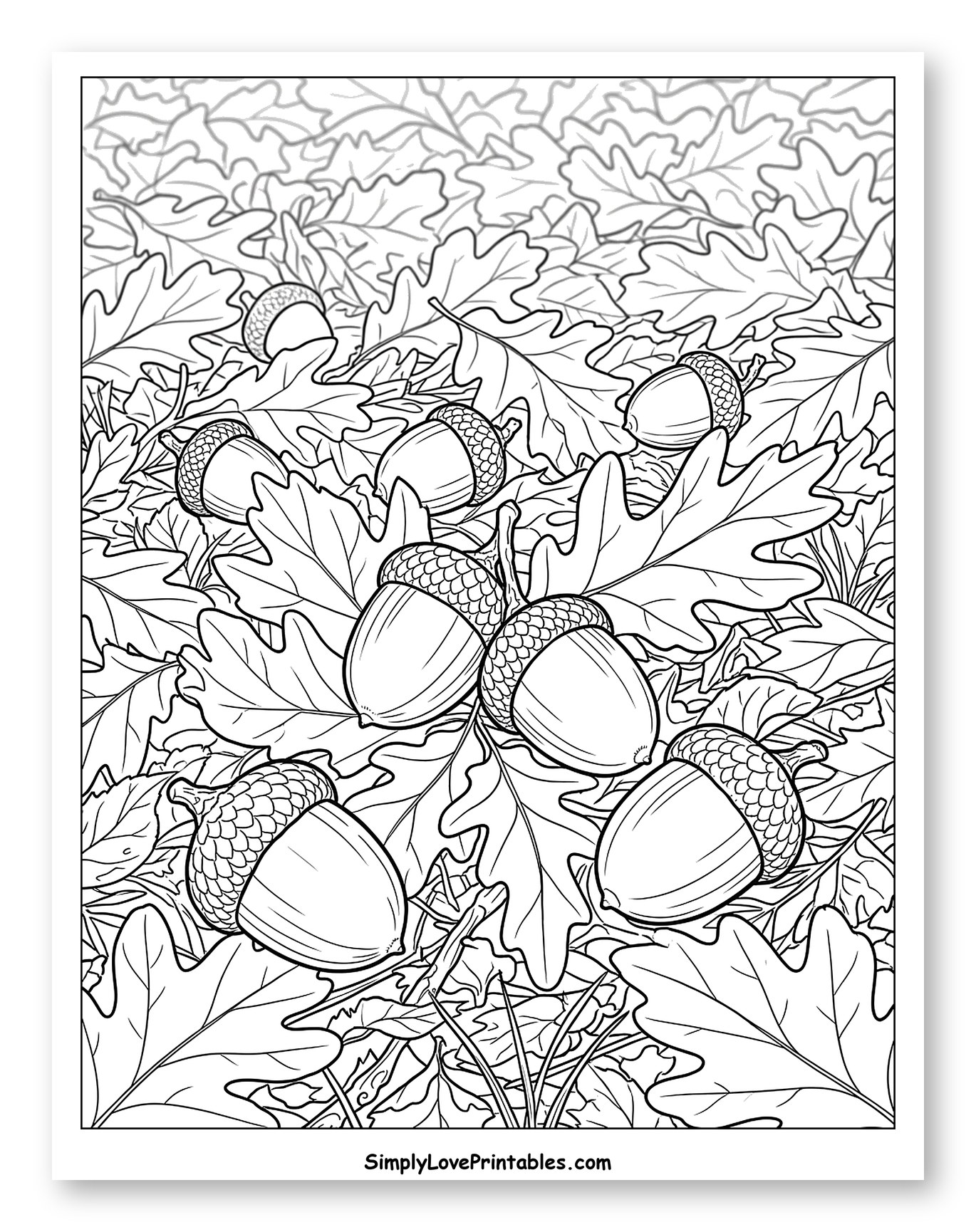Acorns Resting on a Bed of Oak Leaves