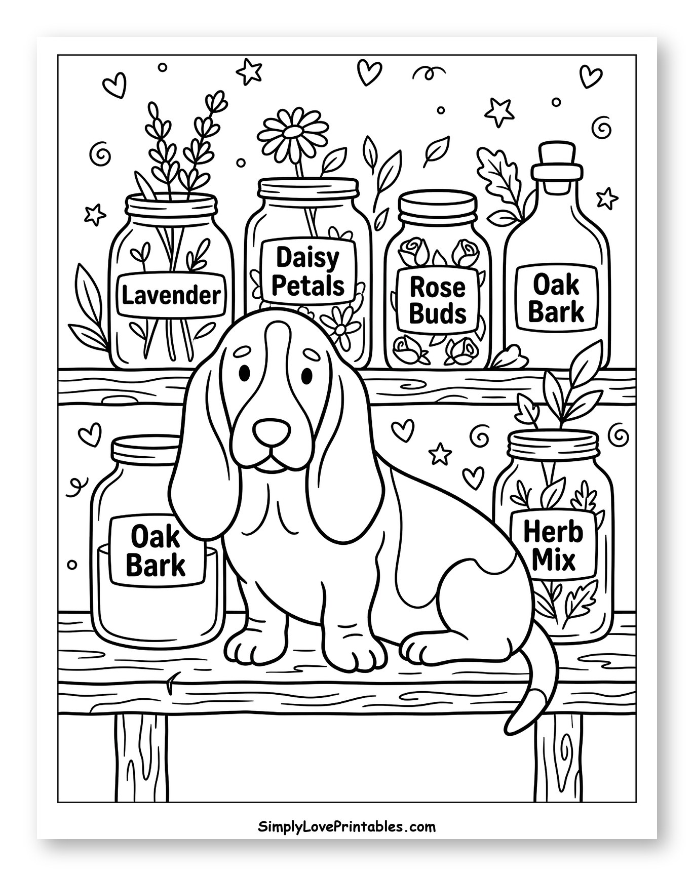 Adorable Basset Hound Surrounded by Herb Jars