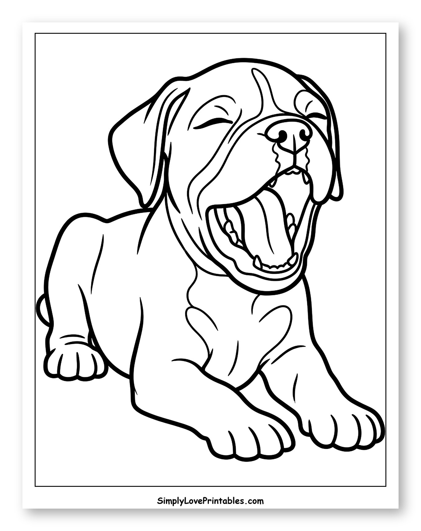 Adorable Boxer Puppy Lying Down Yawning