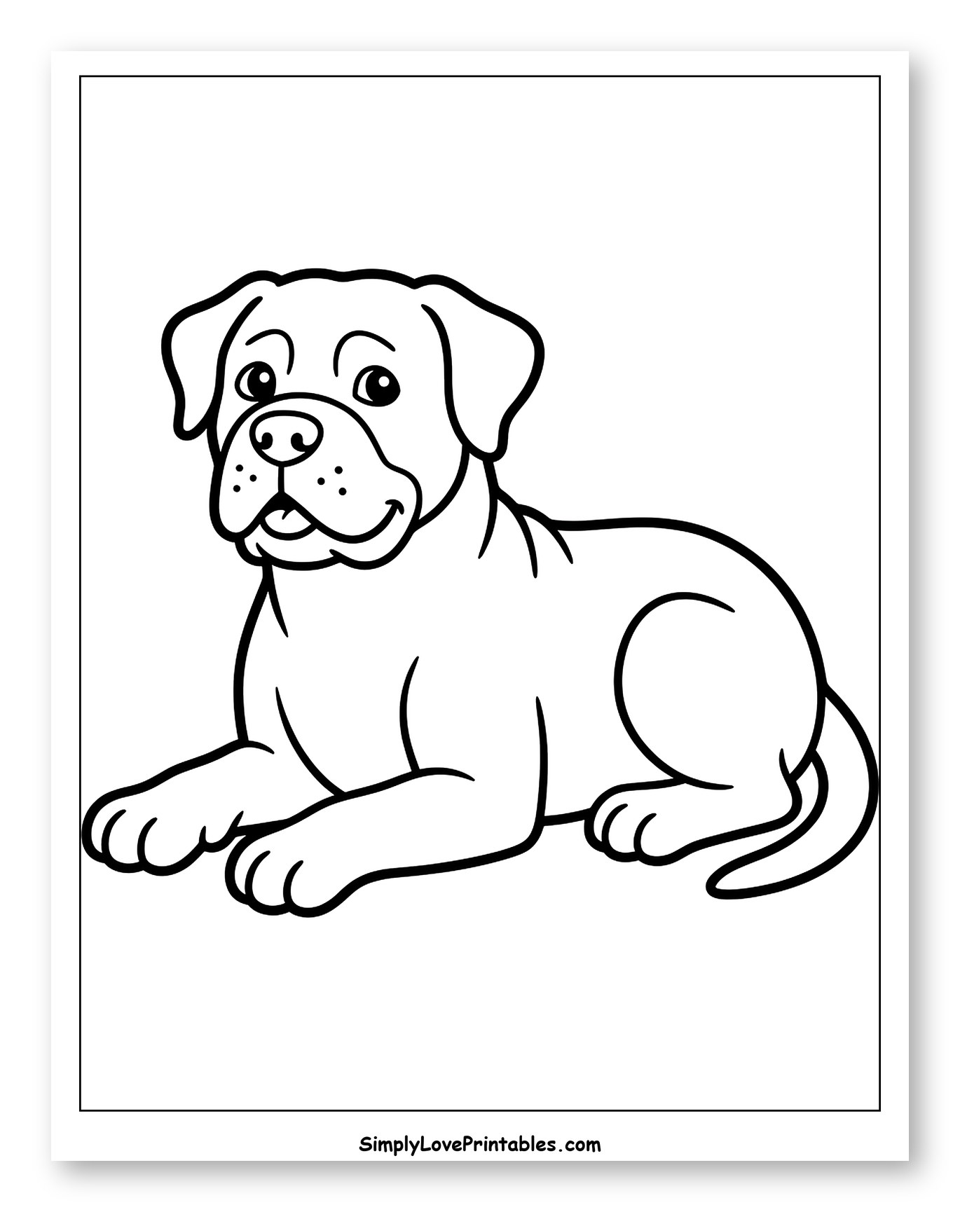 Adorable Bullmastiff Puppy Lying