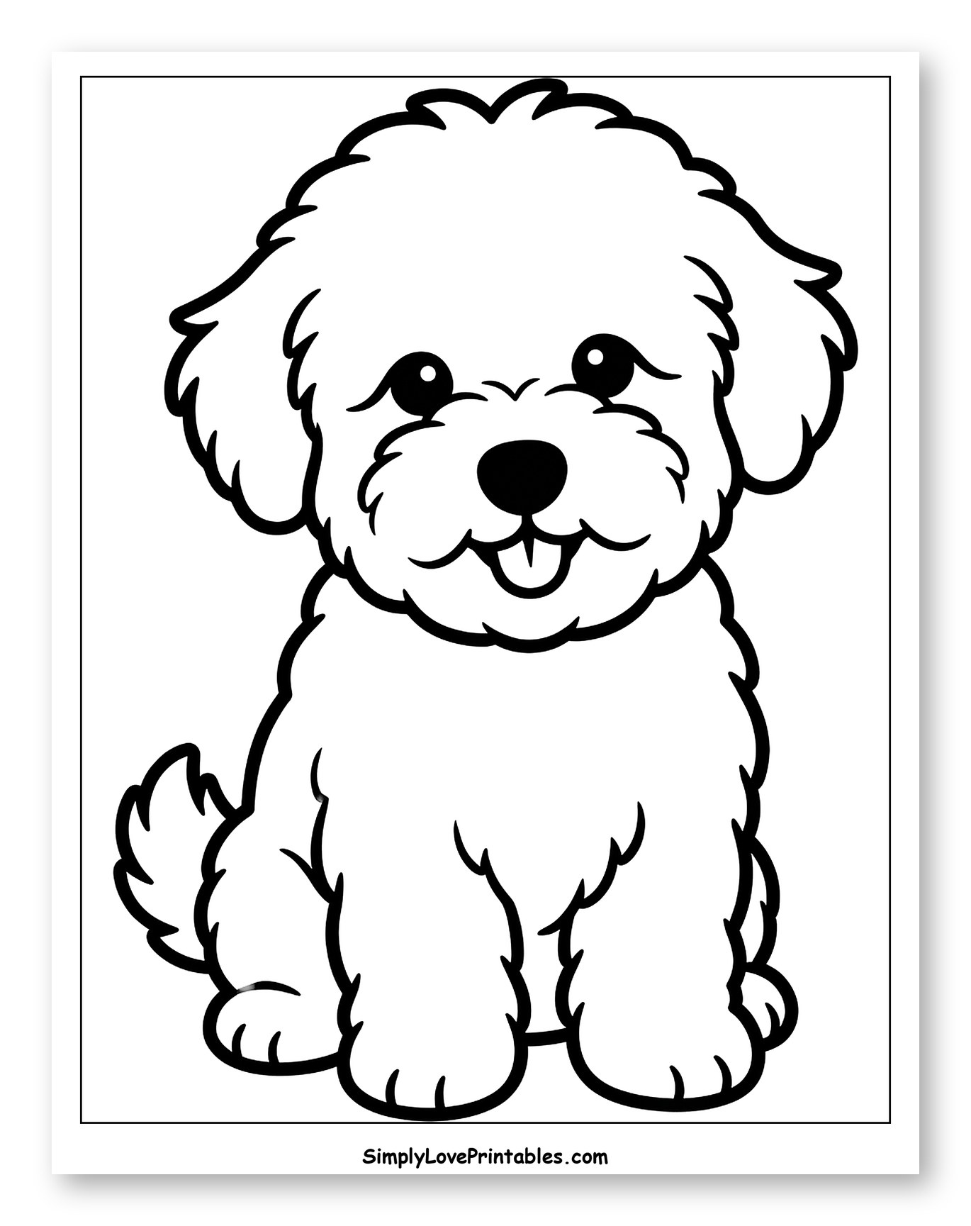 Adorable Fluffy Dog Sitting