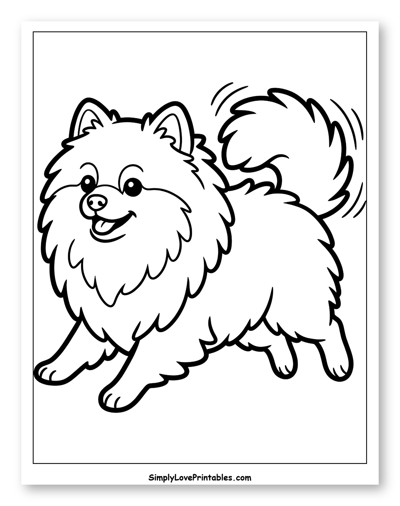Adorable Fluffy Pomeranian Dog Trotting