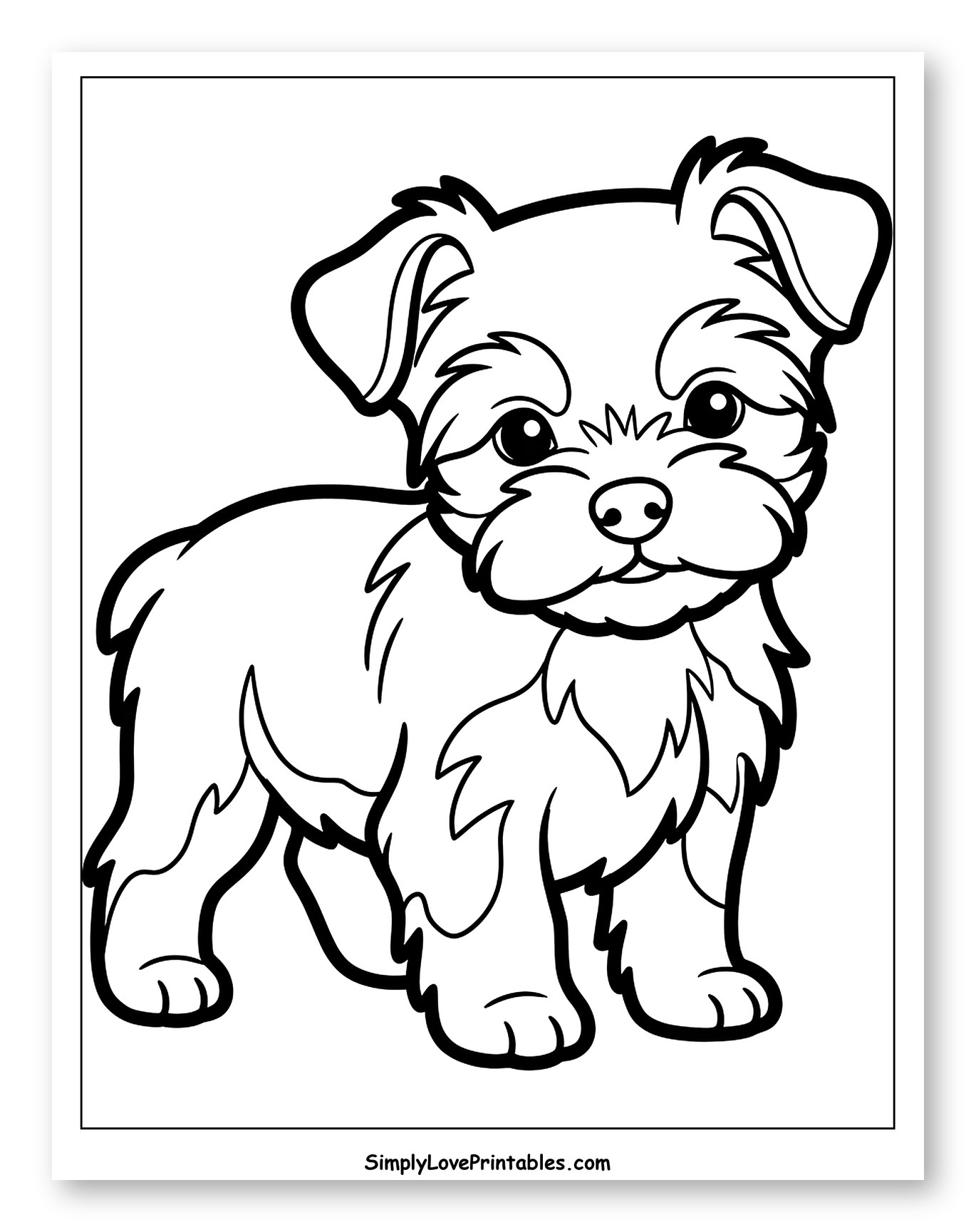 Adorable Fluffy Puppy Waiting Playfully