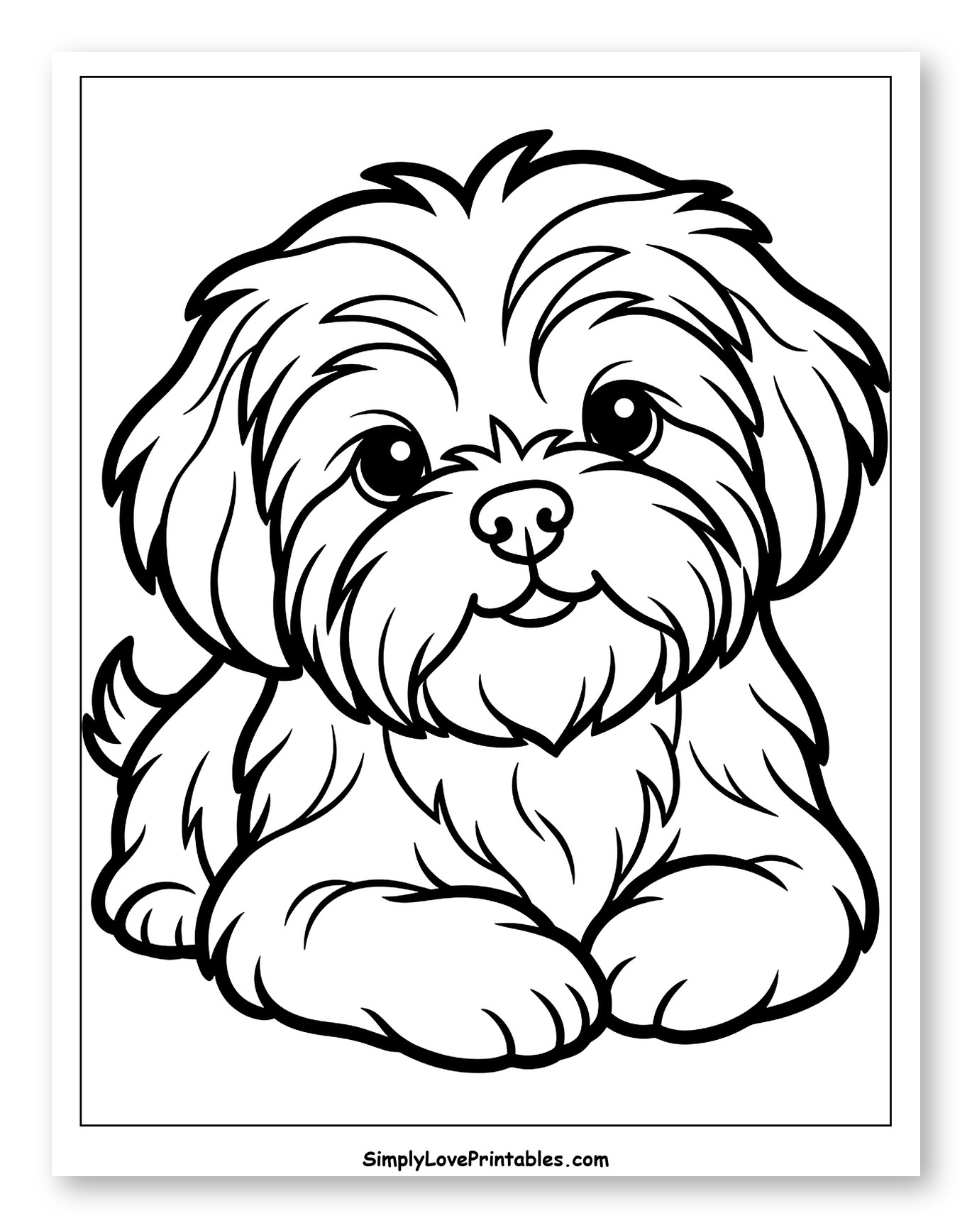 Adorable Fluffy Shih Tzu Puppy Sitting to Color for Toddlers