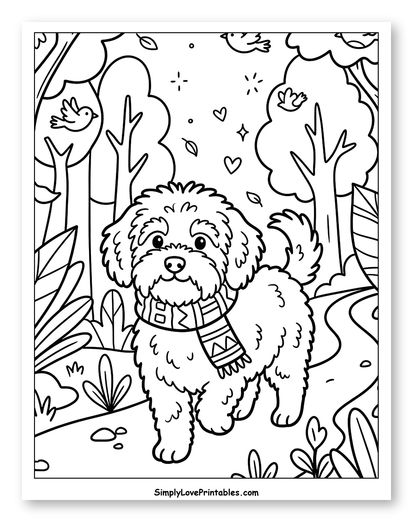 Adorable Havanese Dog on a Forest Path