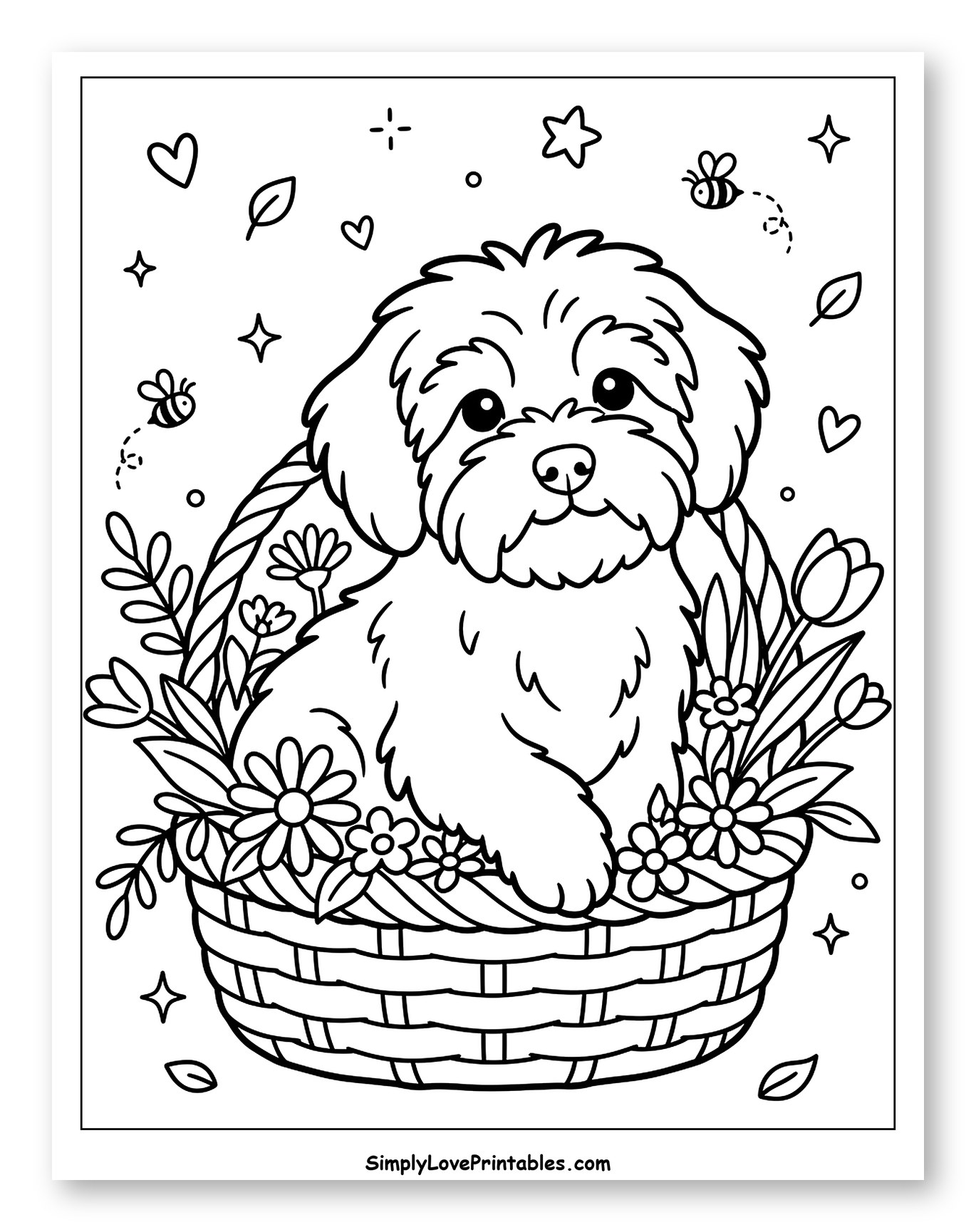 Adorable Havanese Puppy in a Flowery Basket
