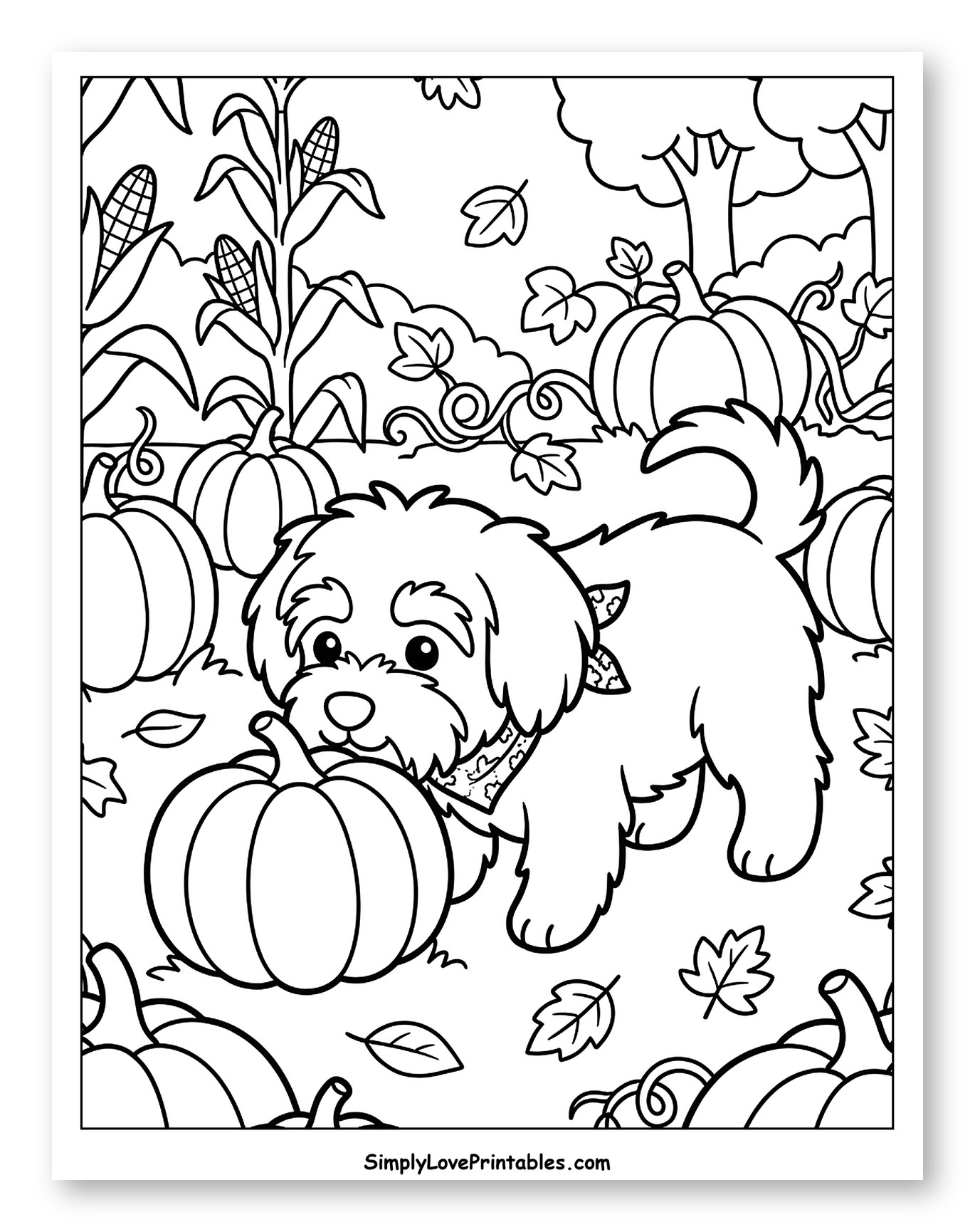 Adorable Havanese Puppy Playing with Pumpkins to Color for Kids