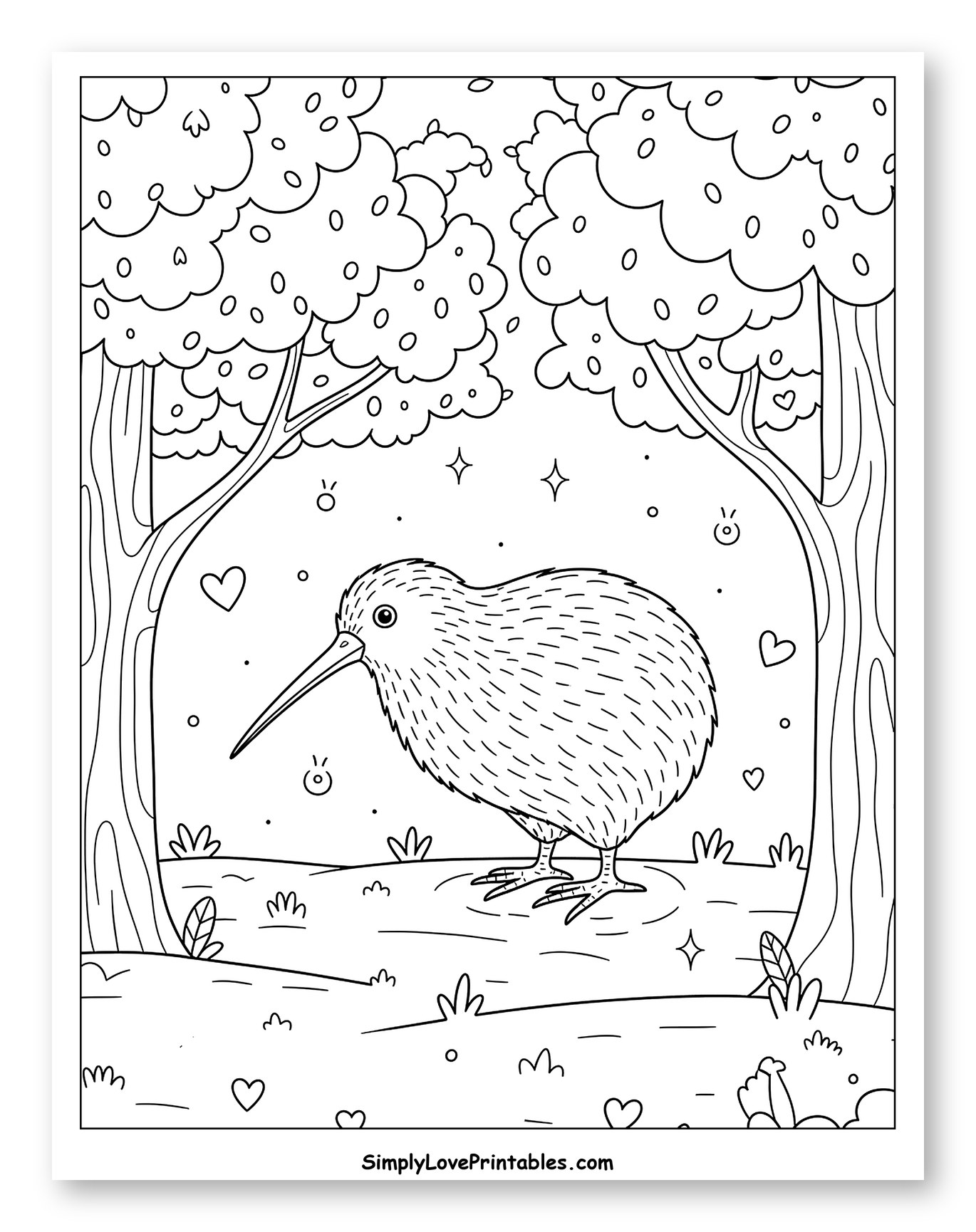 Adorable Kiwi Bird Under Forest Trees