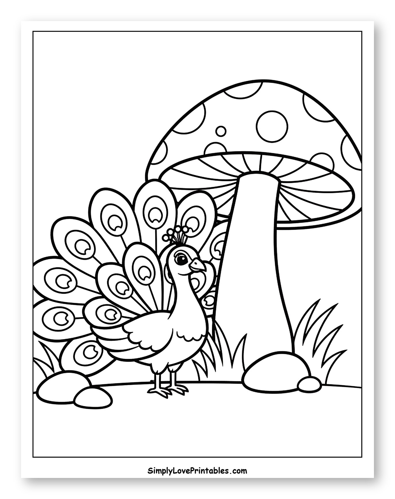 Adorable Peacock and a Spotted Mushroom