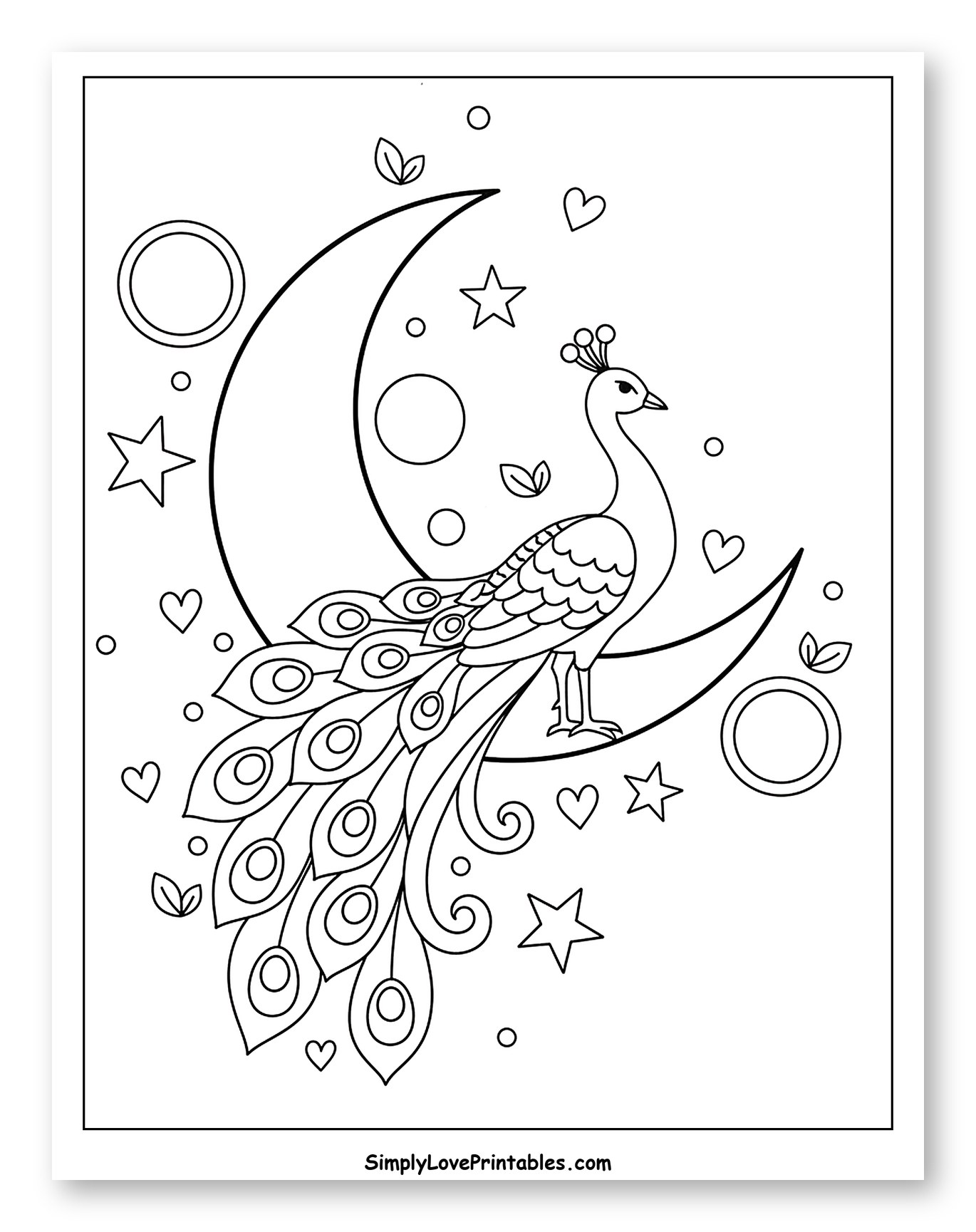 Adorable Peacock Sitting on Moon with Stars
