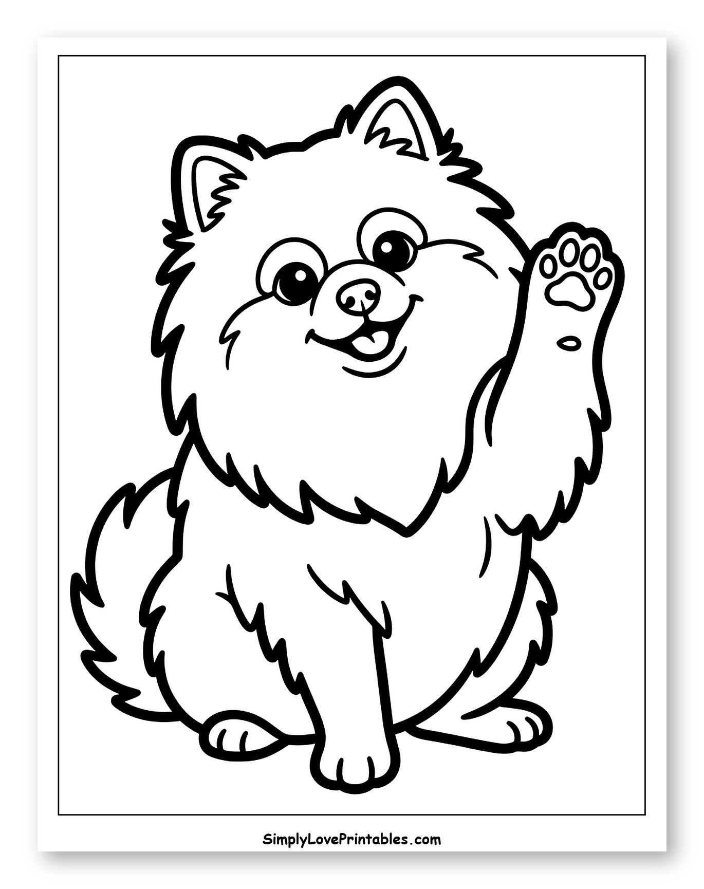 Adorable Pomeranian Puppy Waving Hello