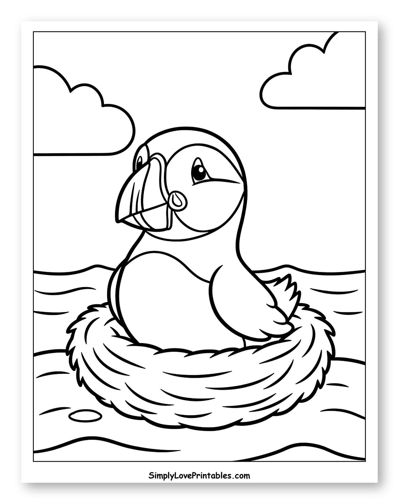 Adorable Puffin in a Nest on the Water