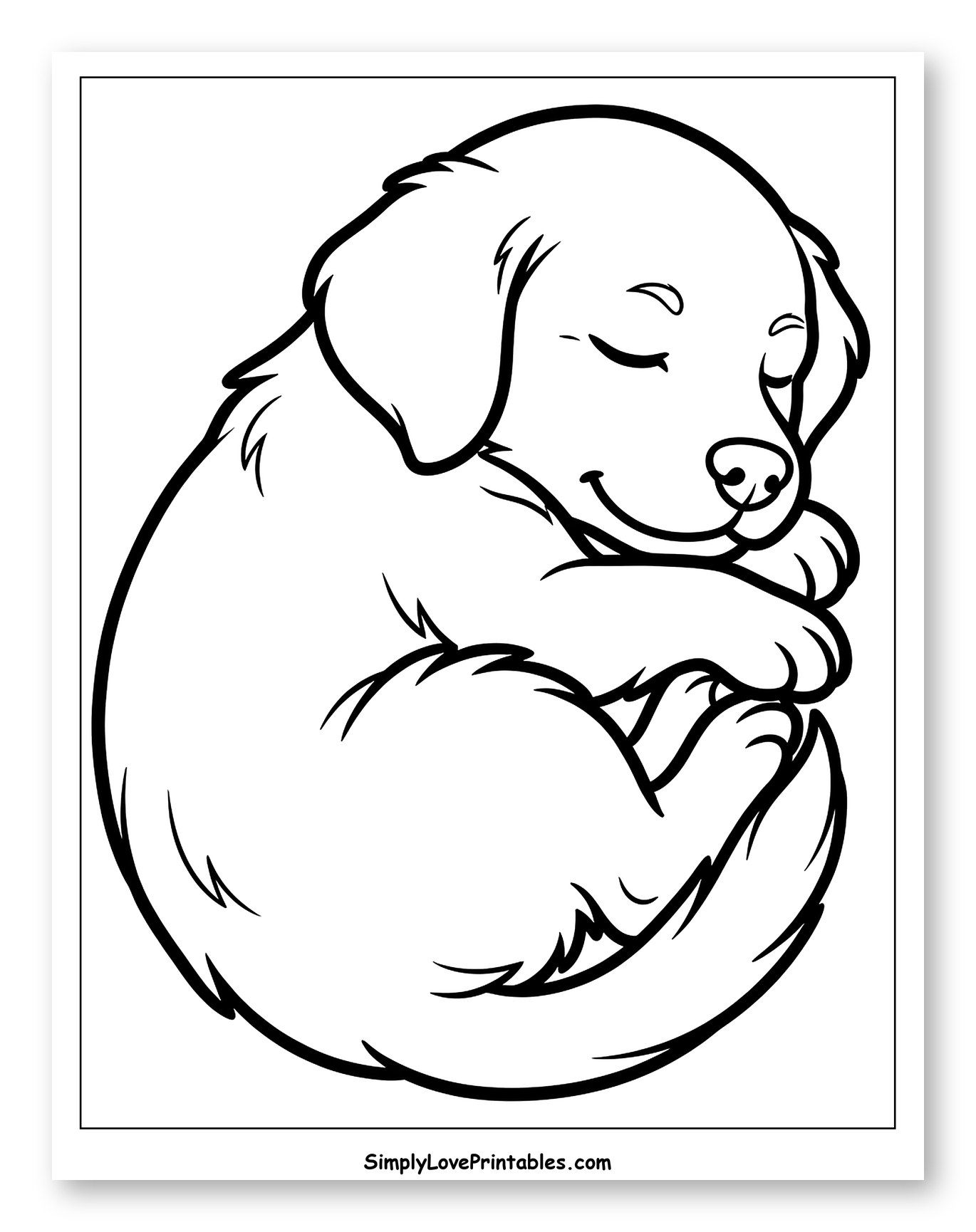 Adorable Puppy Asleep Curled Up