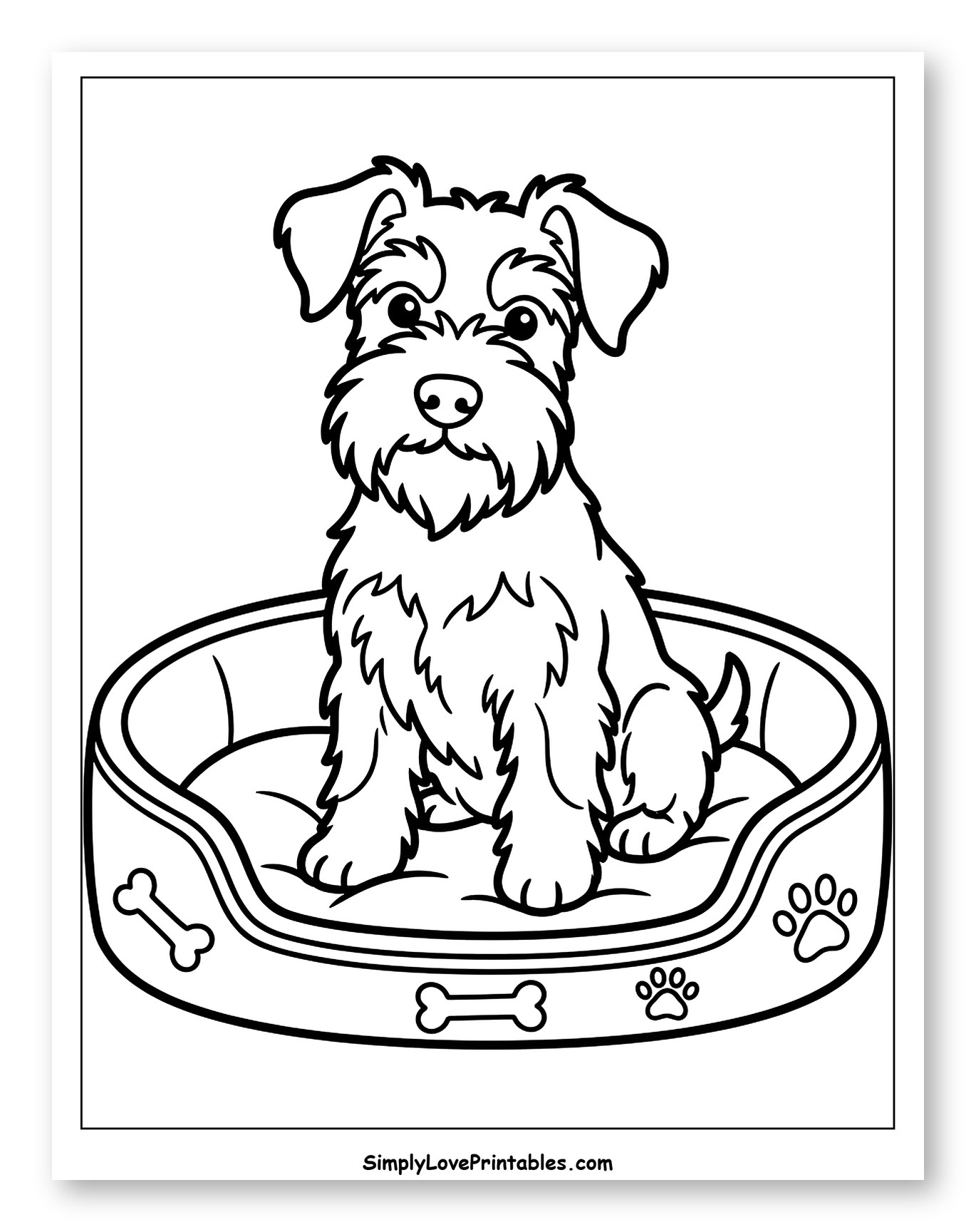 Adorable Schnauzer Puppy Sitting in Its Bed Coloring Sheet for Toddlers