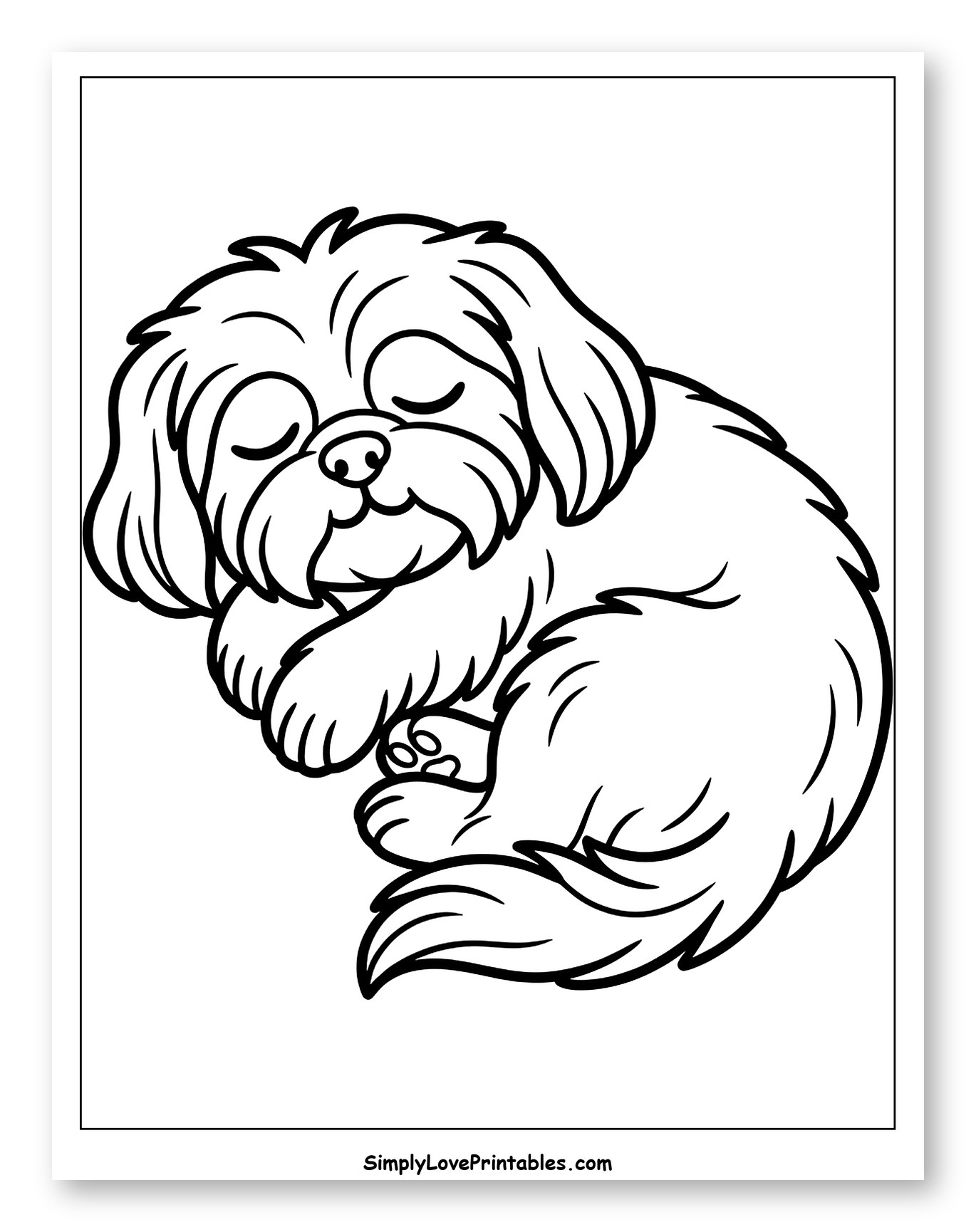 Adorable Shih Tzu Puppy Asleep