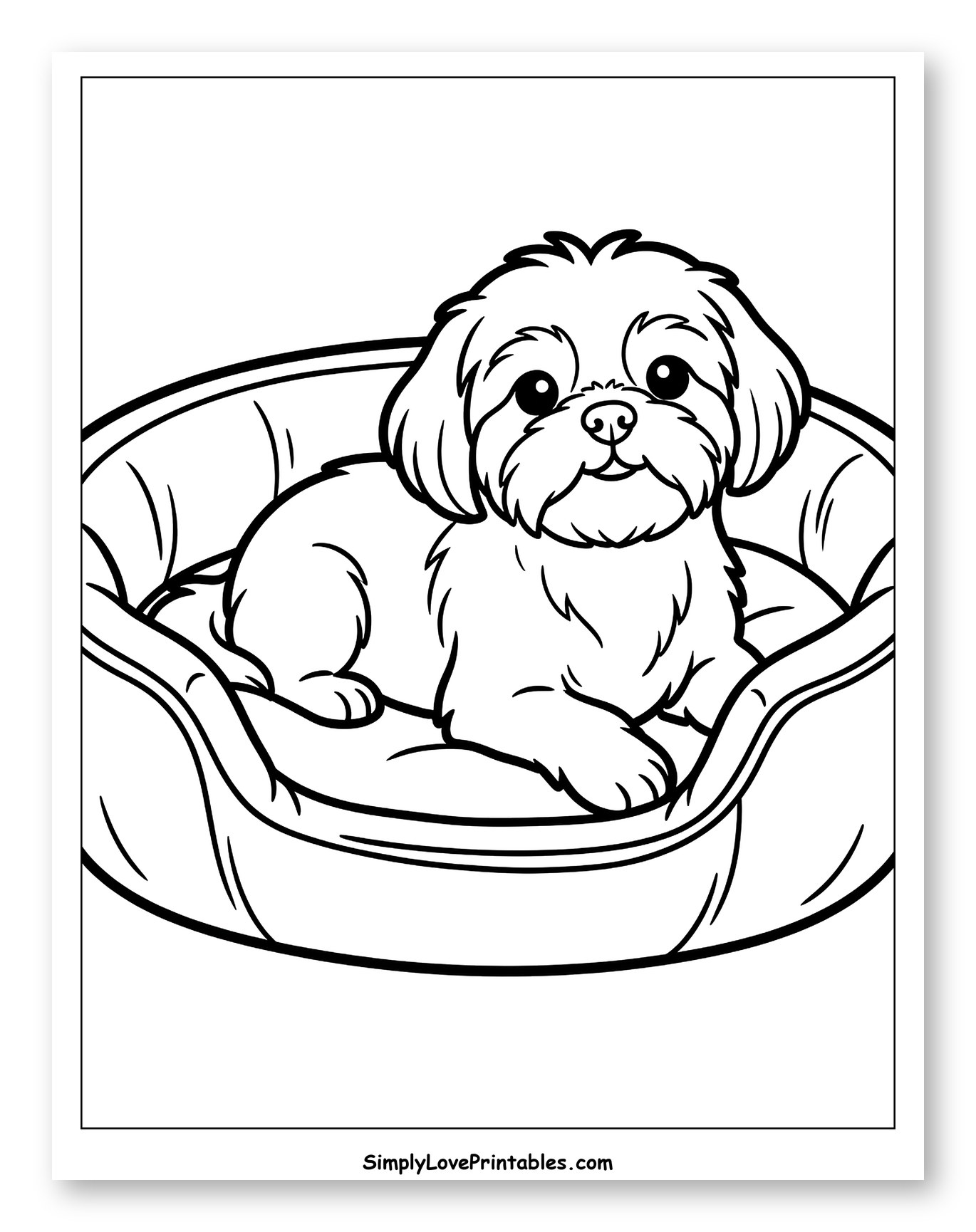 Adorable Shih Tzu Puppy Relaxing in Bed Coloring Sheet for Toddlers