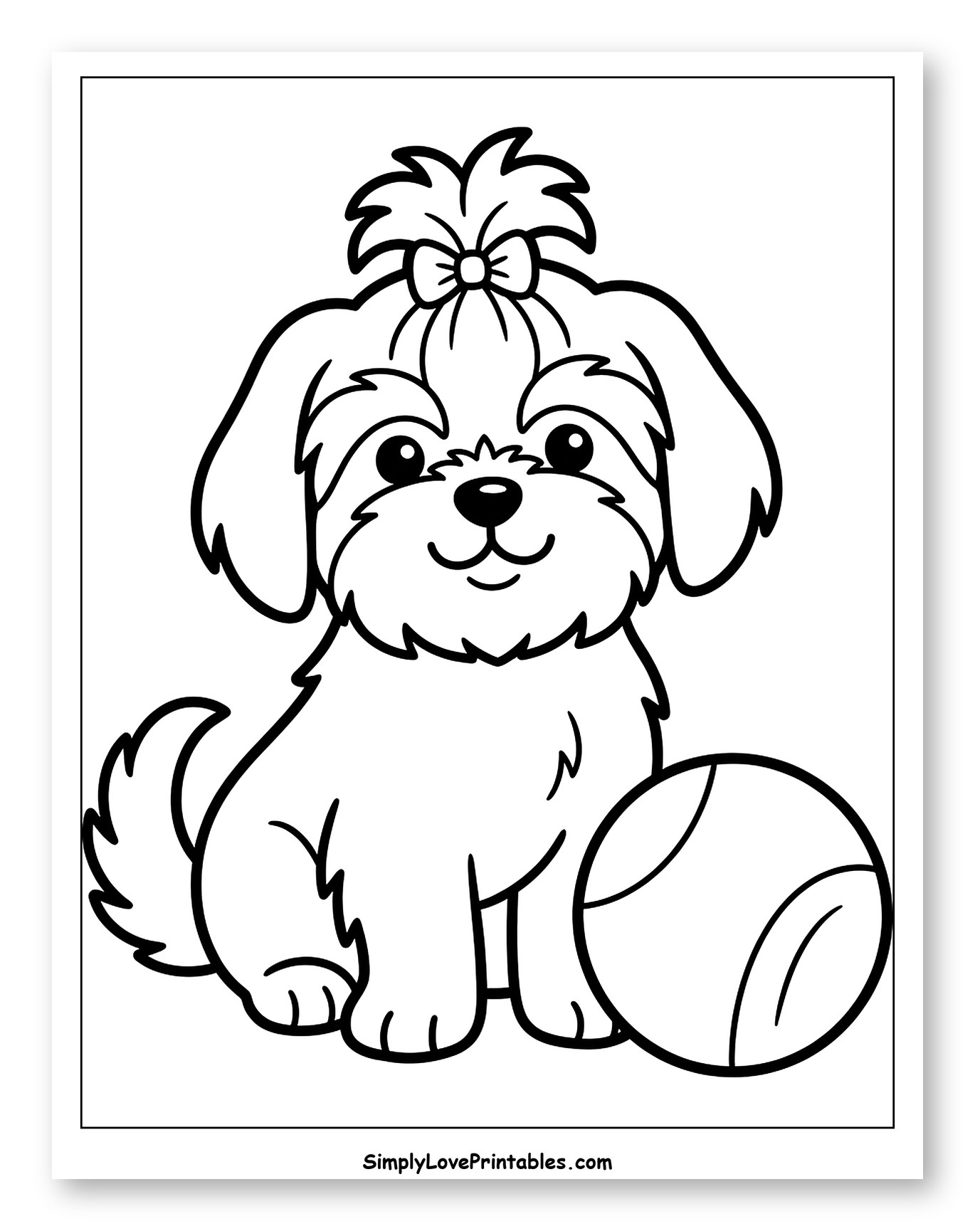 Adorable Shih Tzu Puppy with Tennis Ball