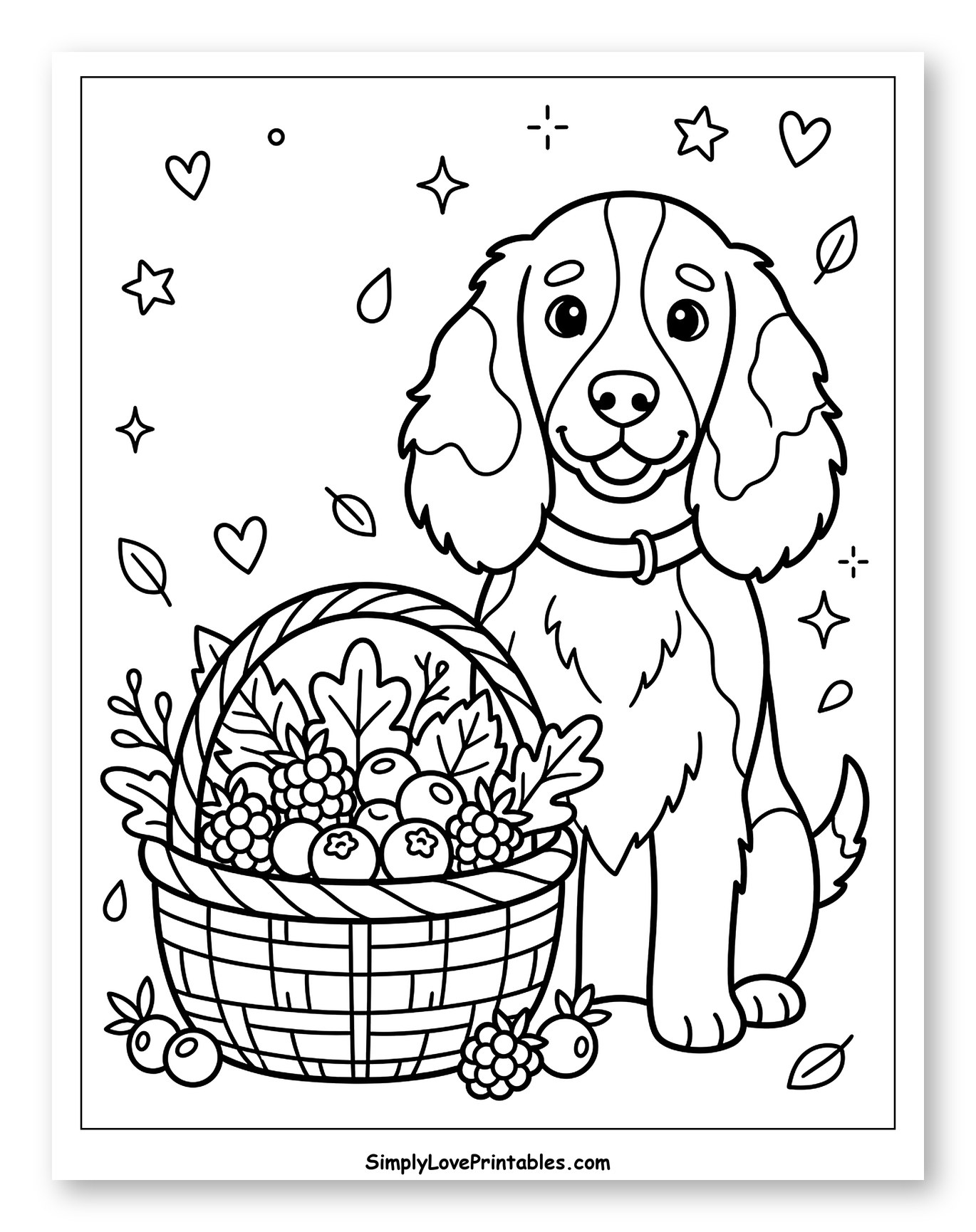 Adorable Springer Spaniel with Basket of Berries