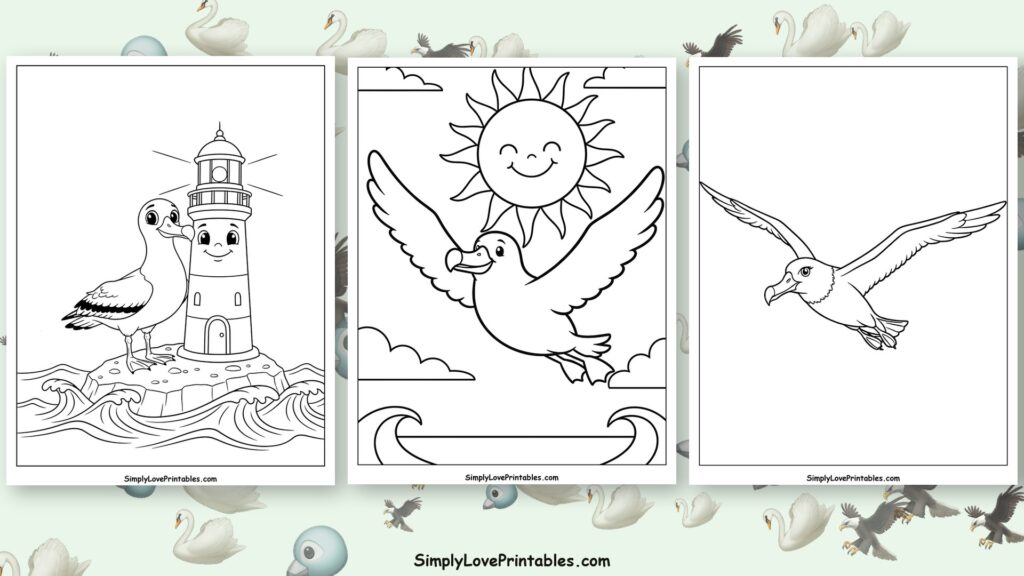 Albatross coloring pages featured image