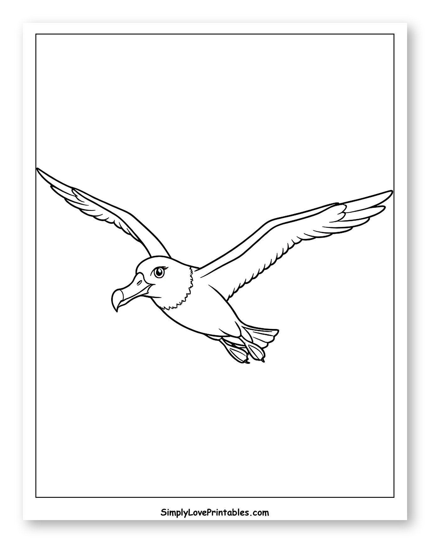 Albatross Gliding in the Sky