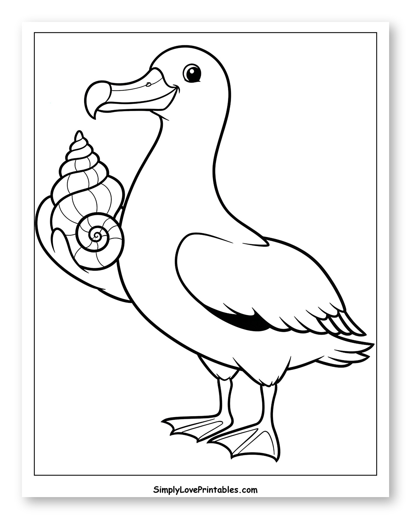 Albatross Holding a Seashell