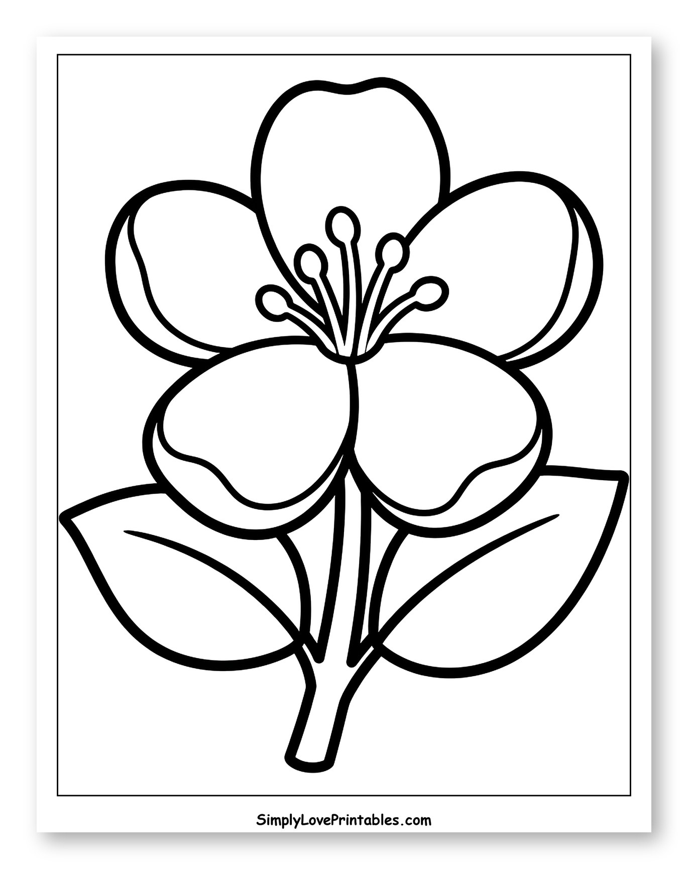 Apple Blossom Flower with Stem and Leaves