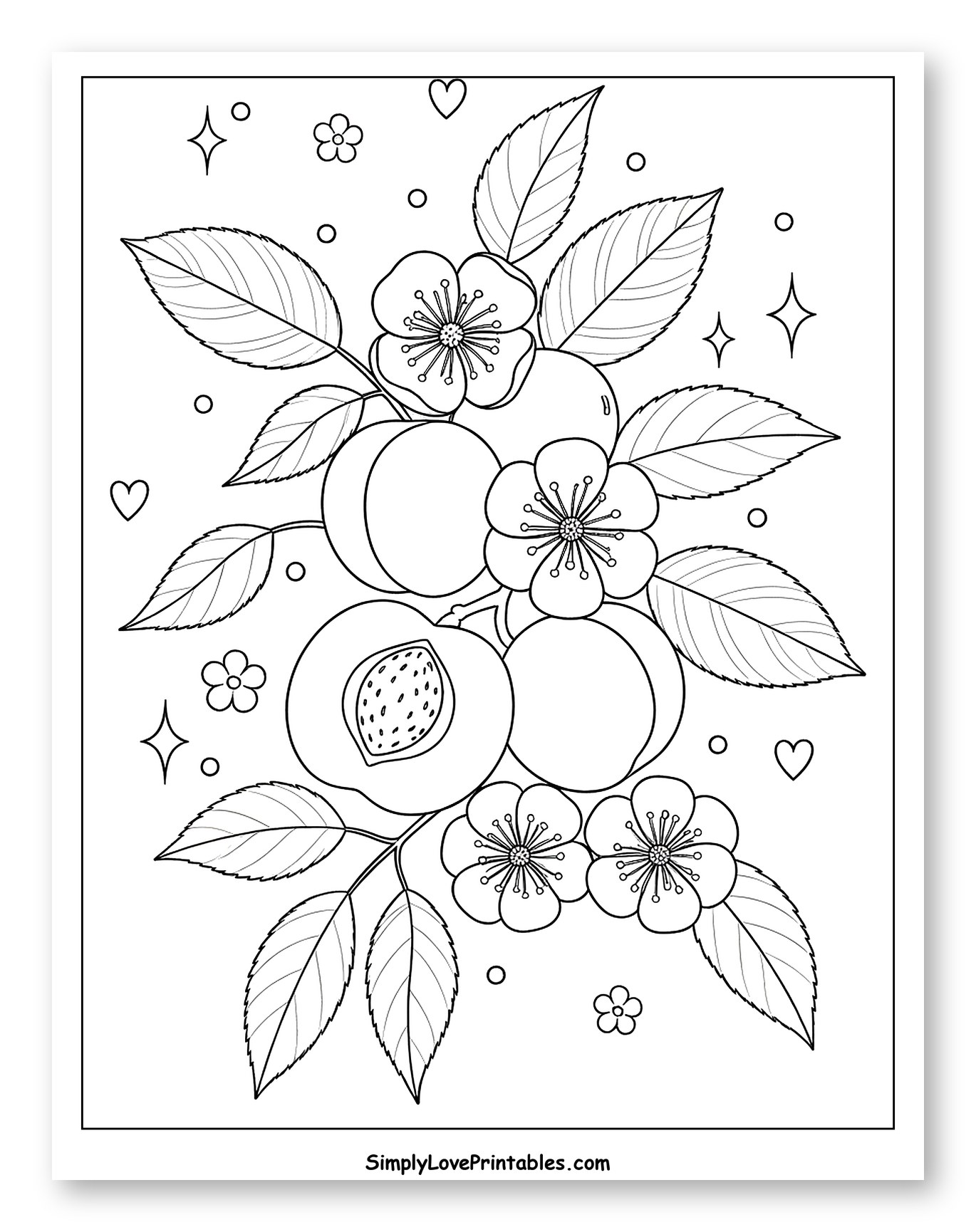 Apricot Cluster with Flowers and Sparkling Accents Coloring Sheet for Adults