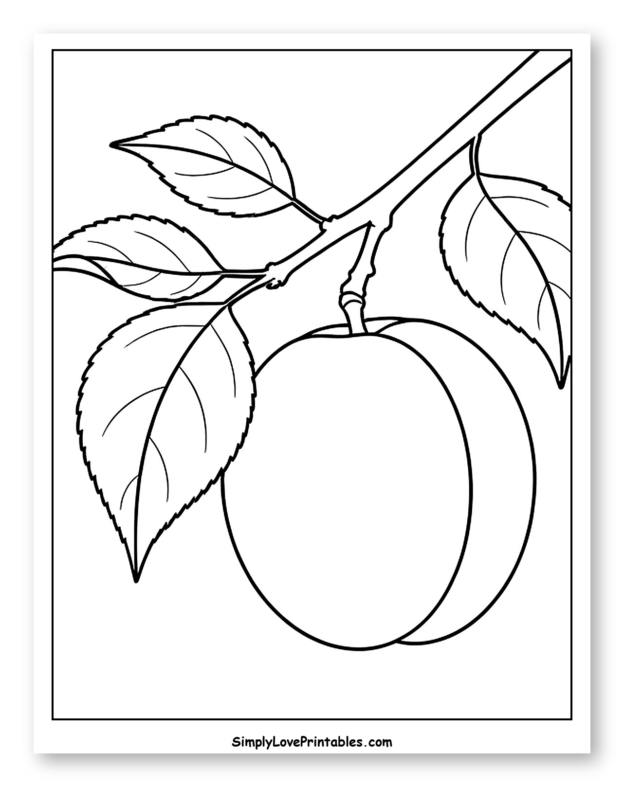 Apricot on a Branch with Leaves to Color for Toddlers
