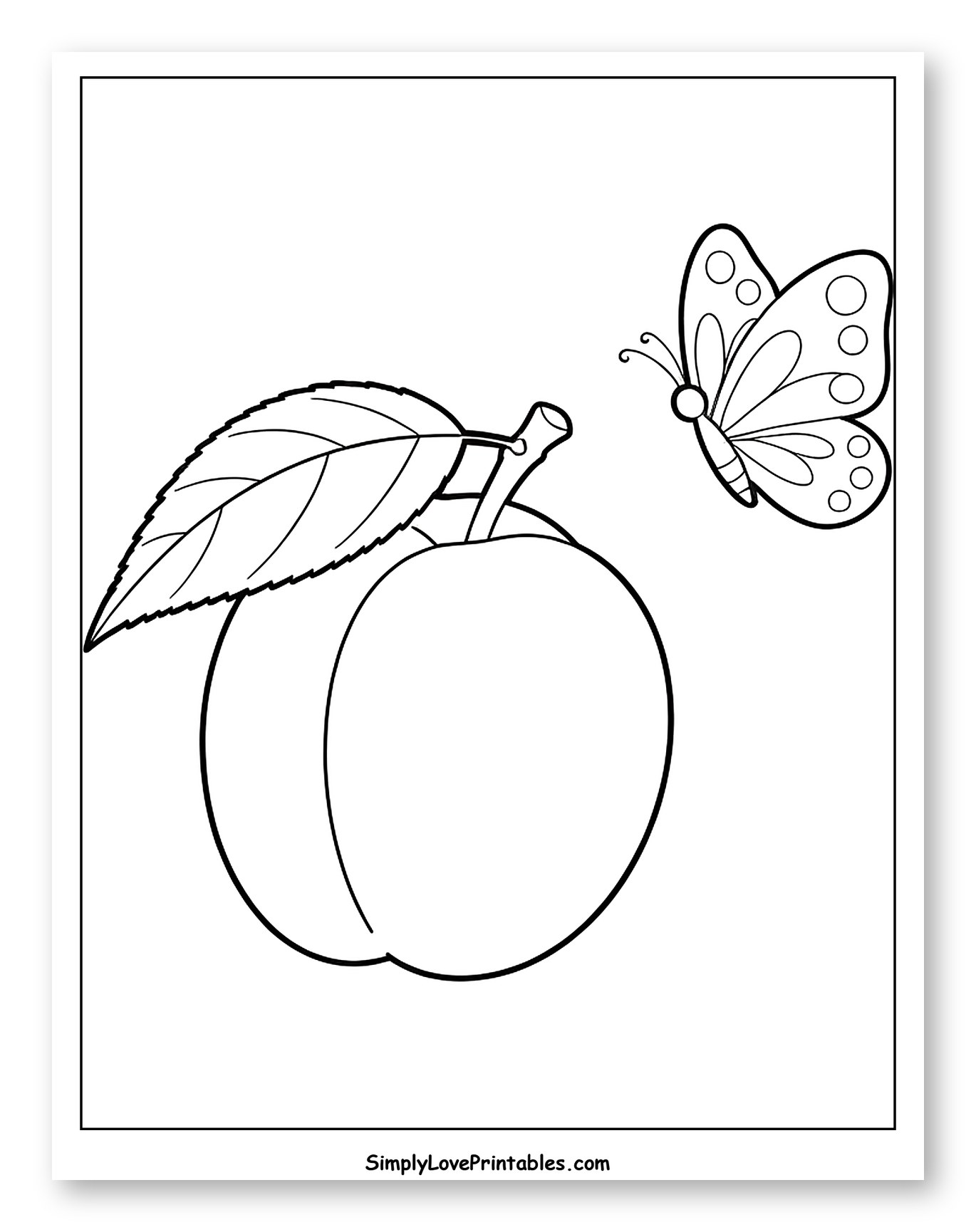 Apricot with Leaf and Flying Butterfly