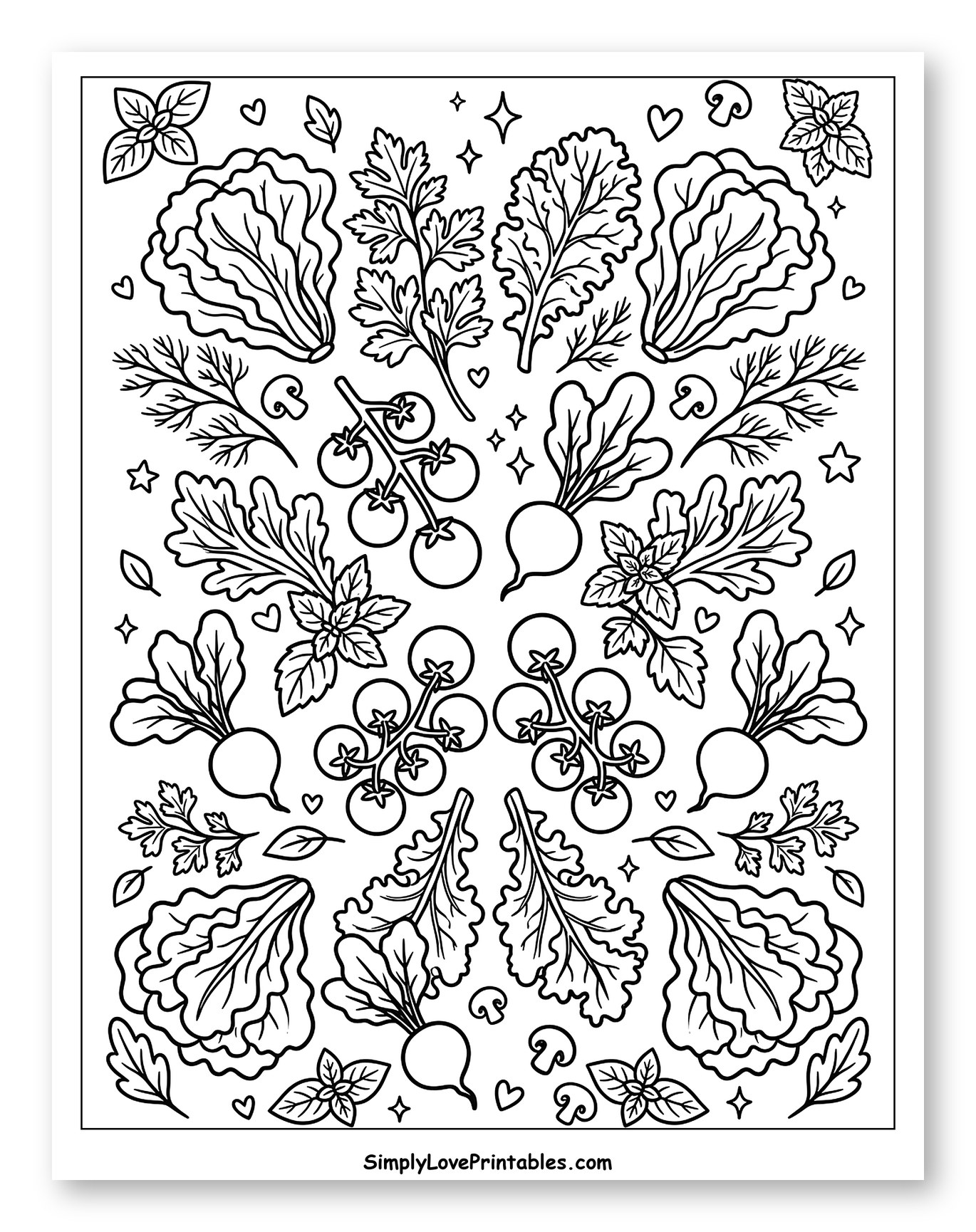 Assortment of Fresh Salad Vegetables to Color for Adults