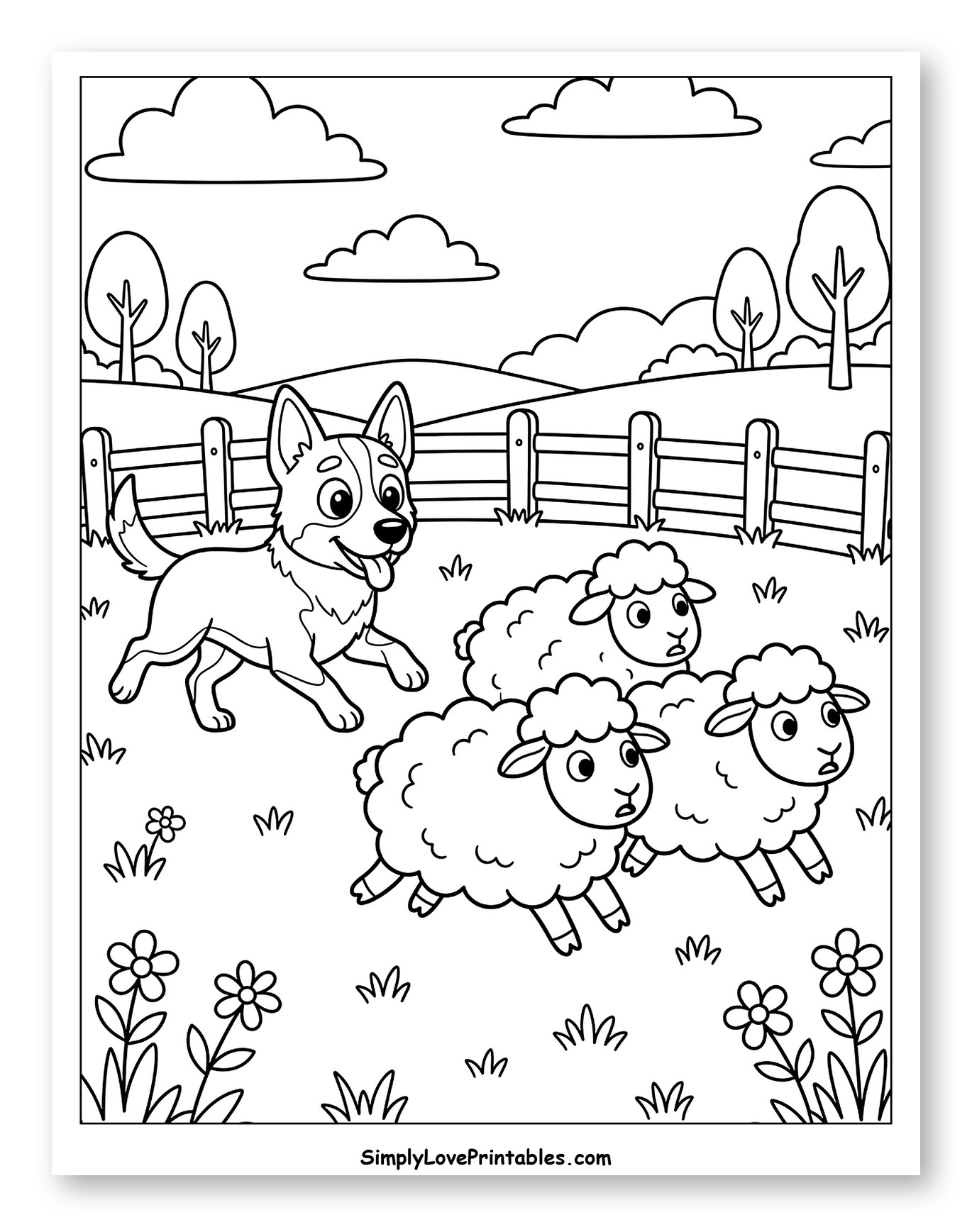 Australian Cattle Dog Herding Sheep in a Field