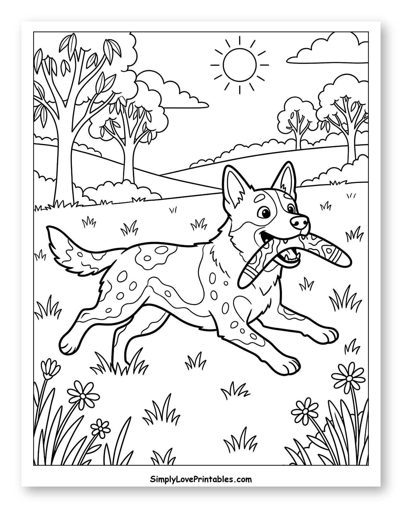 Australian Cattle Dog Running with Boomerang