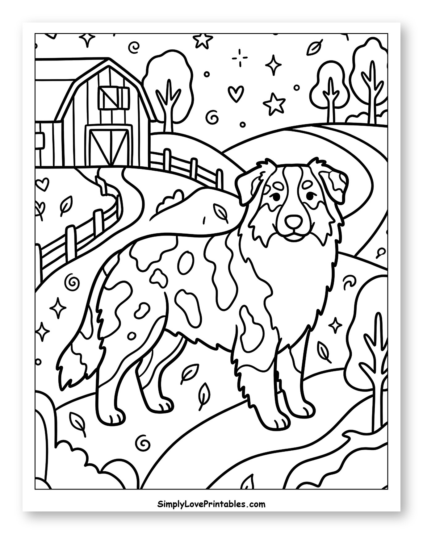 Australian Shepherd Dog at a Farm