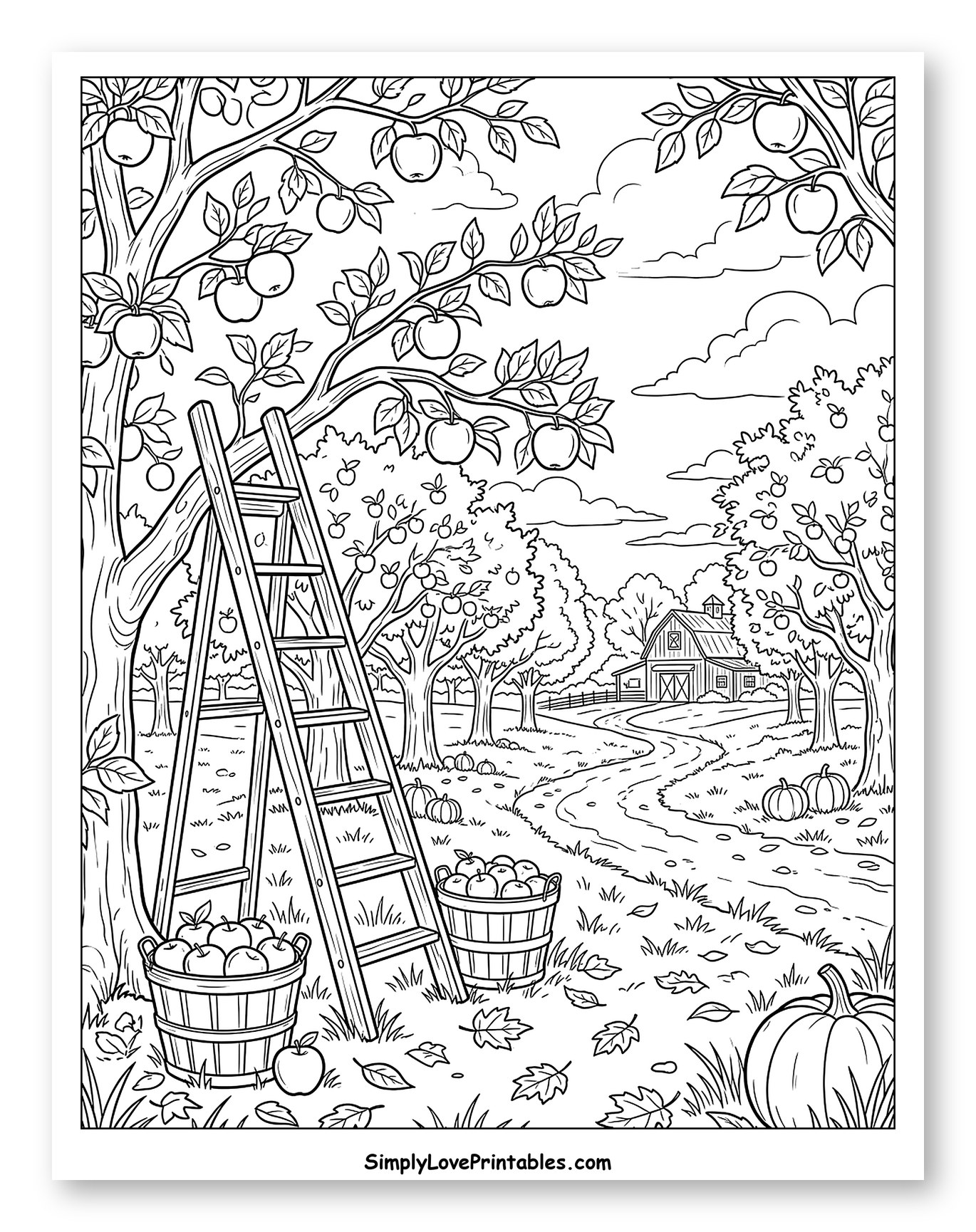 Autumn Apple Orchard Harvest and Country Barn