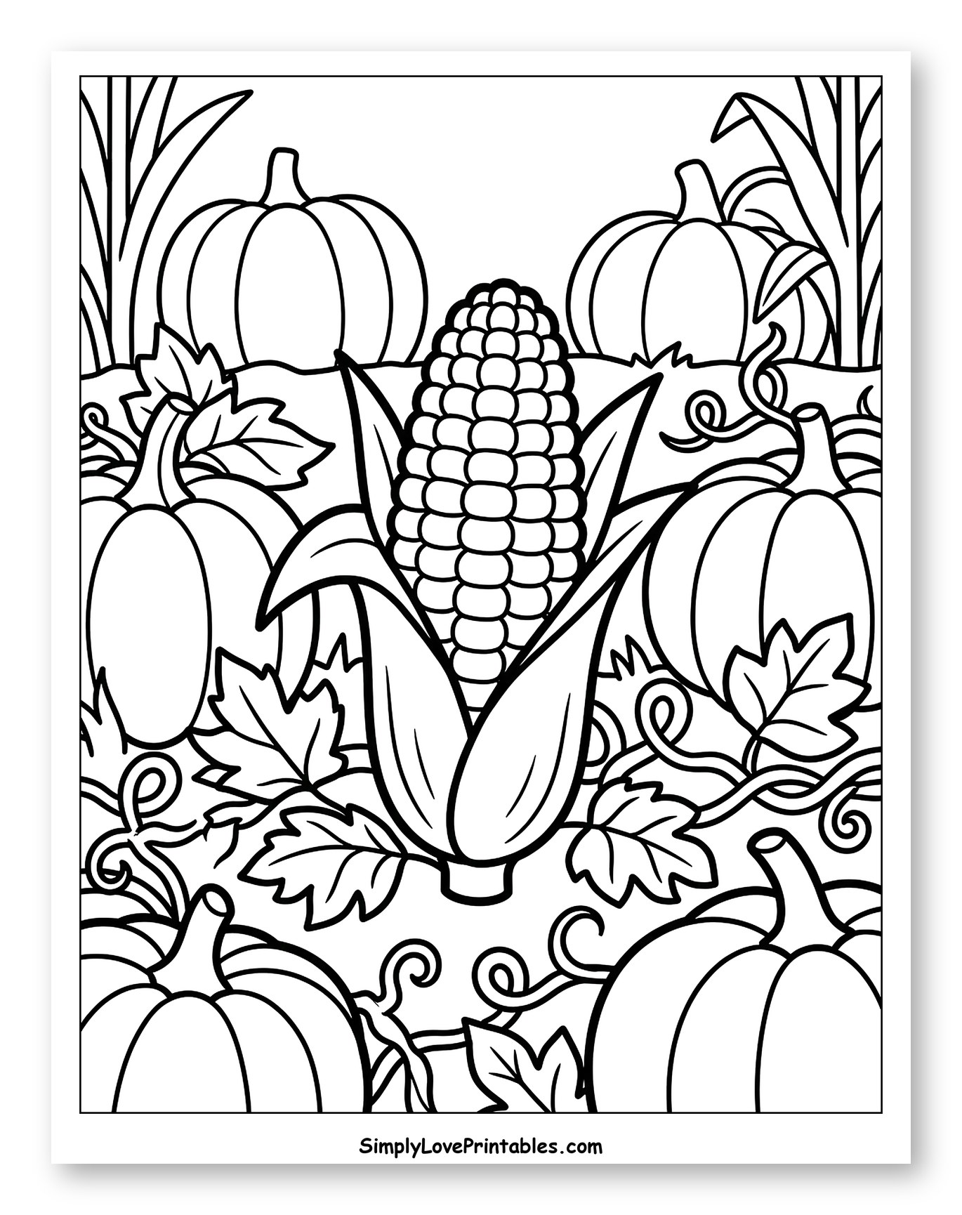 Autumn Pumpkin Patch with a Cob of Corn
