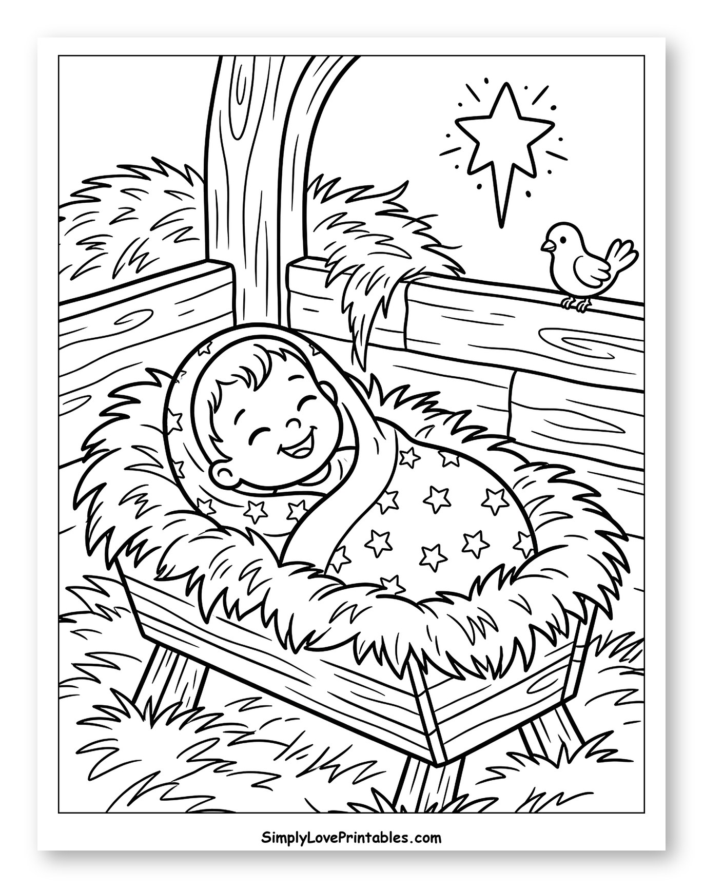 Baby Jesus in Manger with Shining Star and Bird