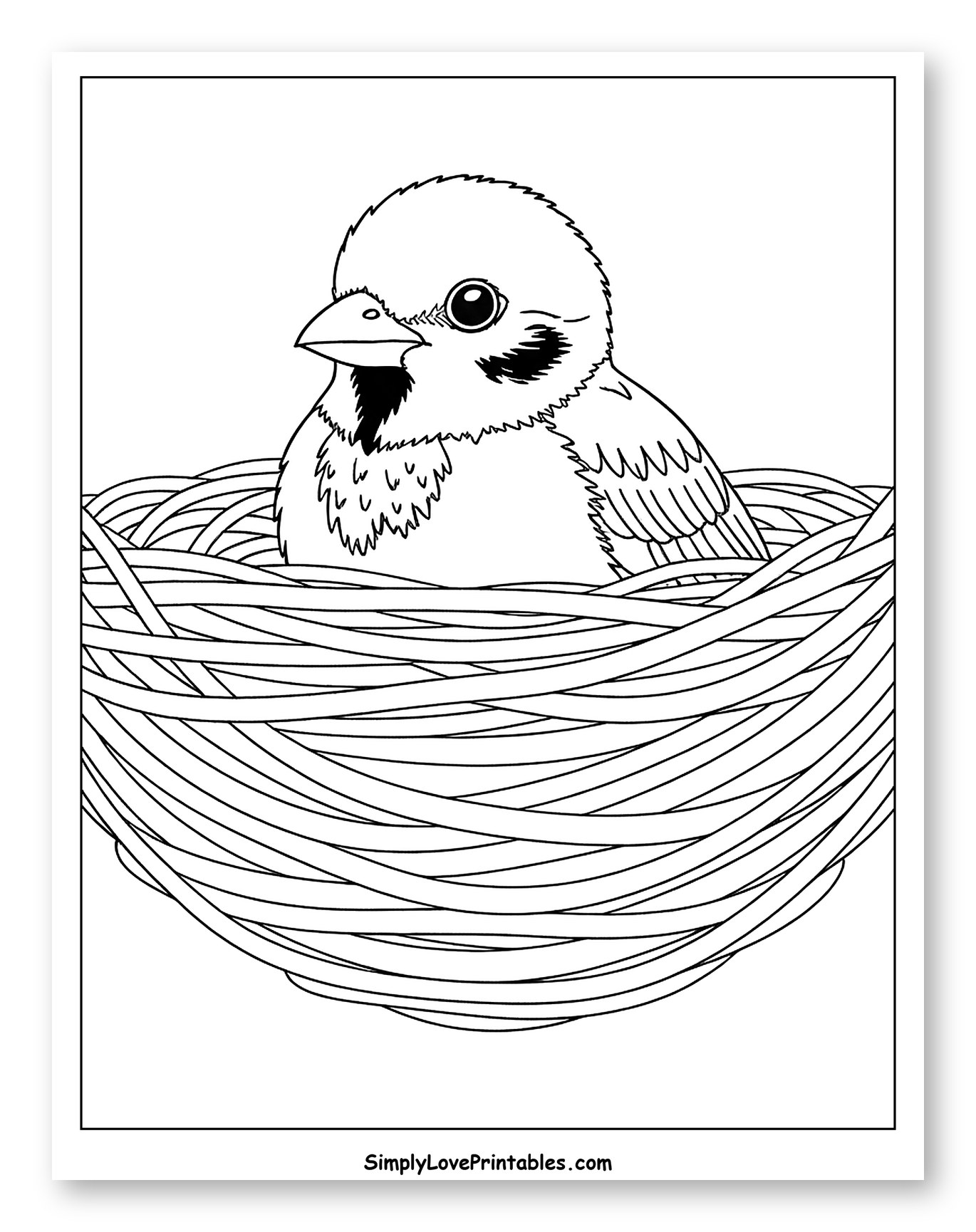 Baby Sparrow Perched in a Cozy Nest to Color for Toddlers