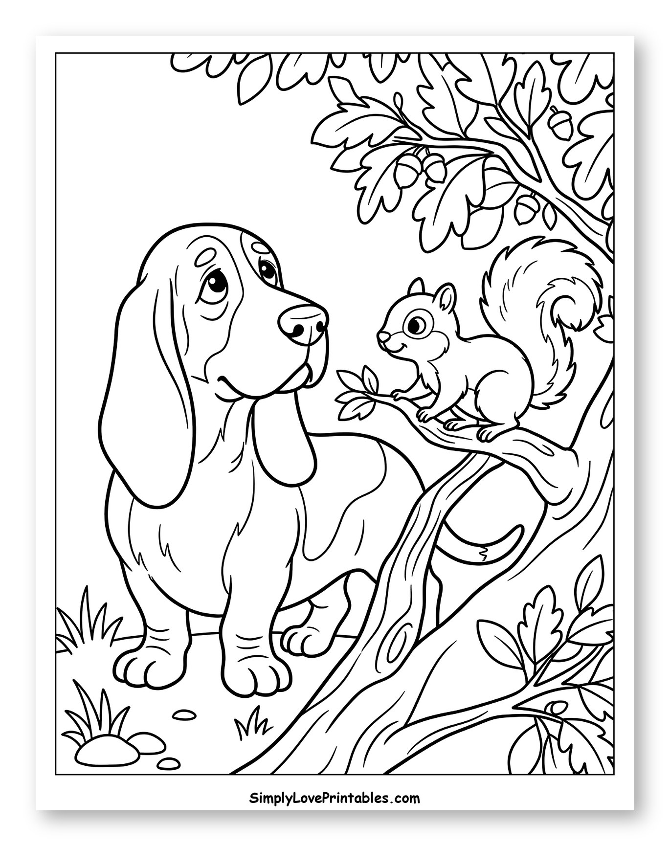 Basset Hound Looking Up at Squirrel in Oak Tree to Color for Kids