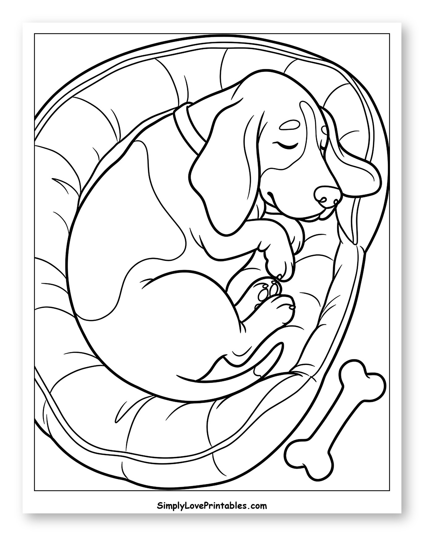 Basset Hound Puppy Asleep in Dog Bed