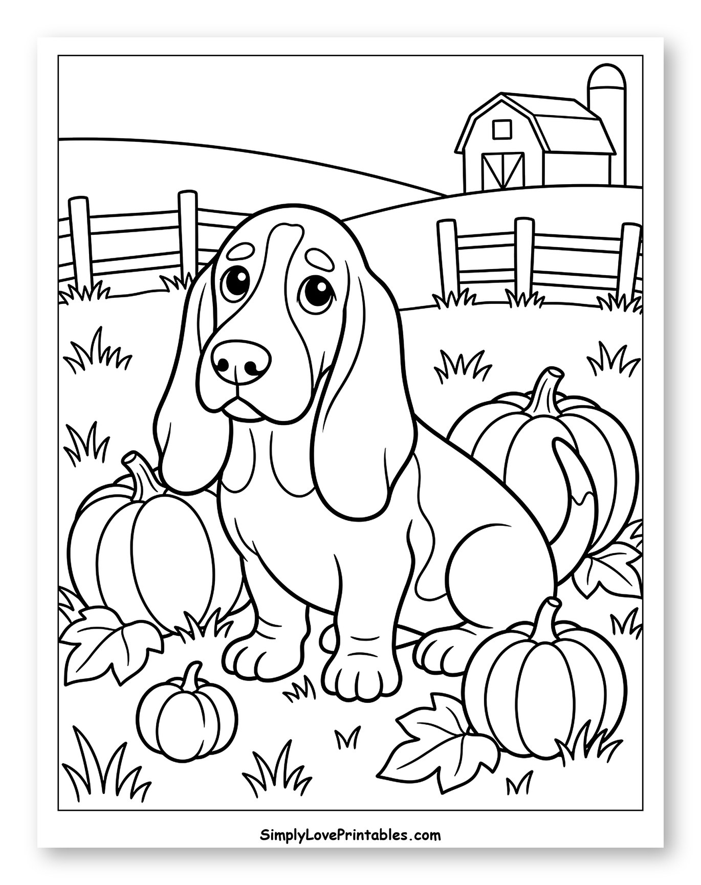 Basset Hound Puppy with Pumpkins and Barn