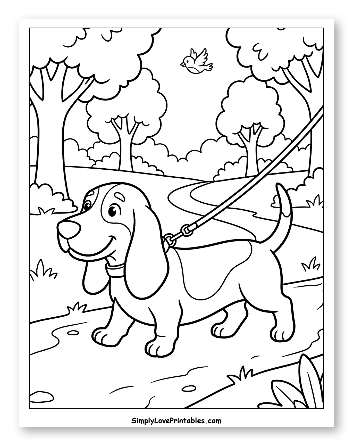 Basset Hound Walking in a Park
