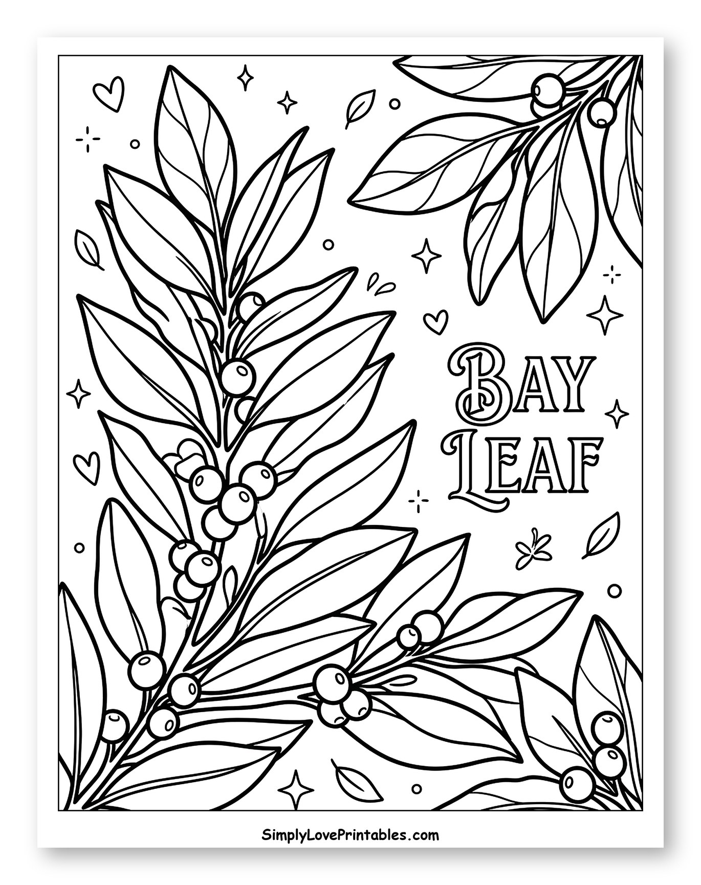Bay Leaf Branches with Berries Coloring Sheet for Adults