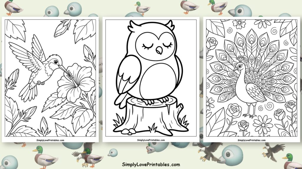 bird coloring pages featured image