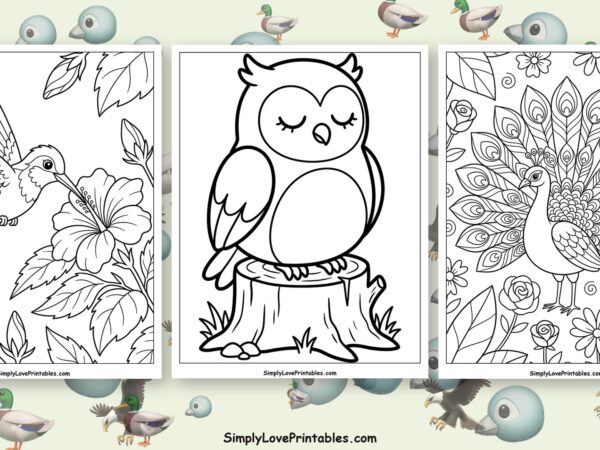 bird coloring pages featured image